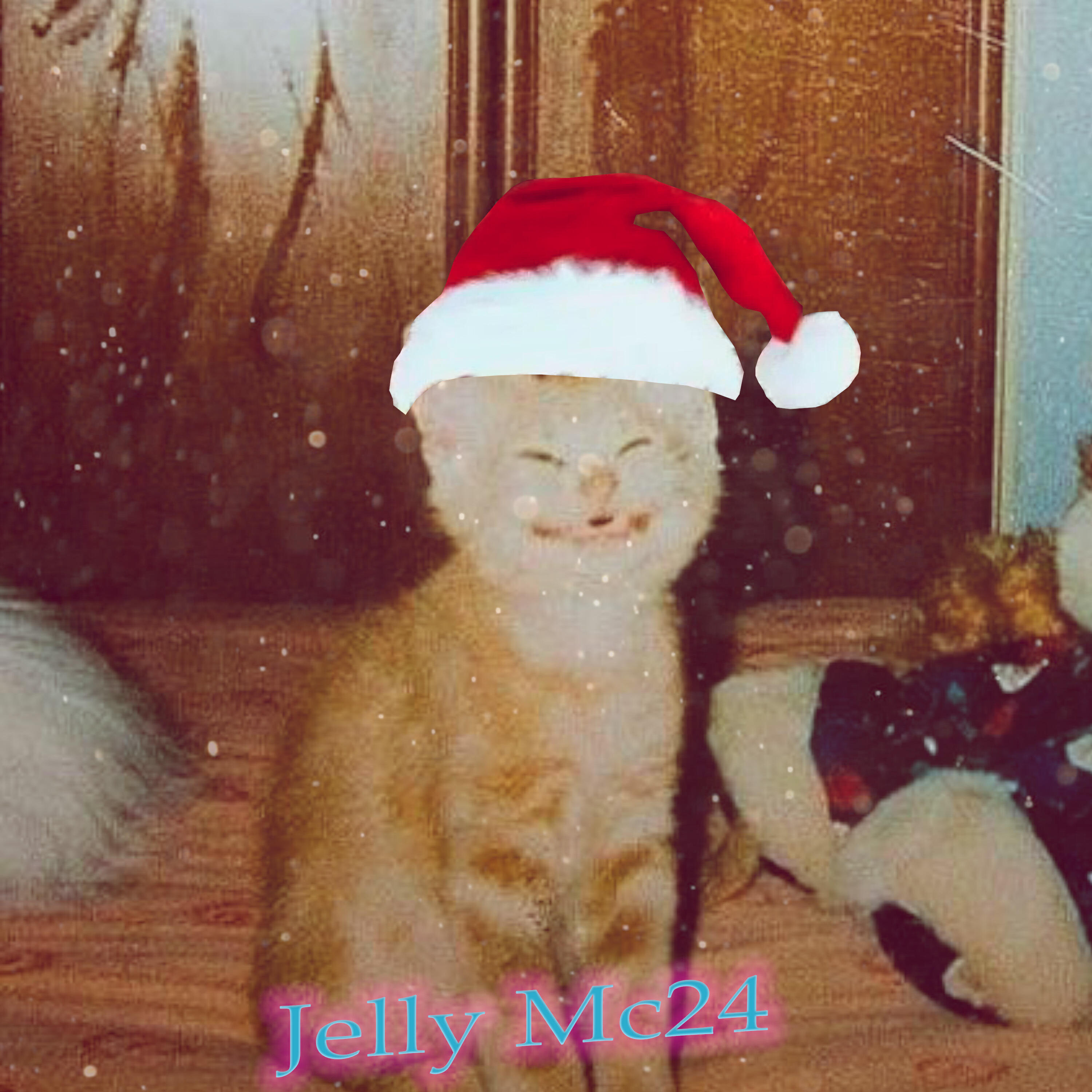Релиз Jelly Mc24