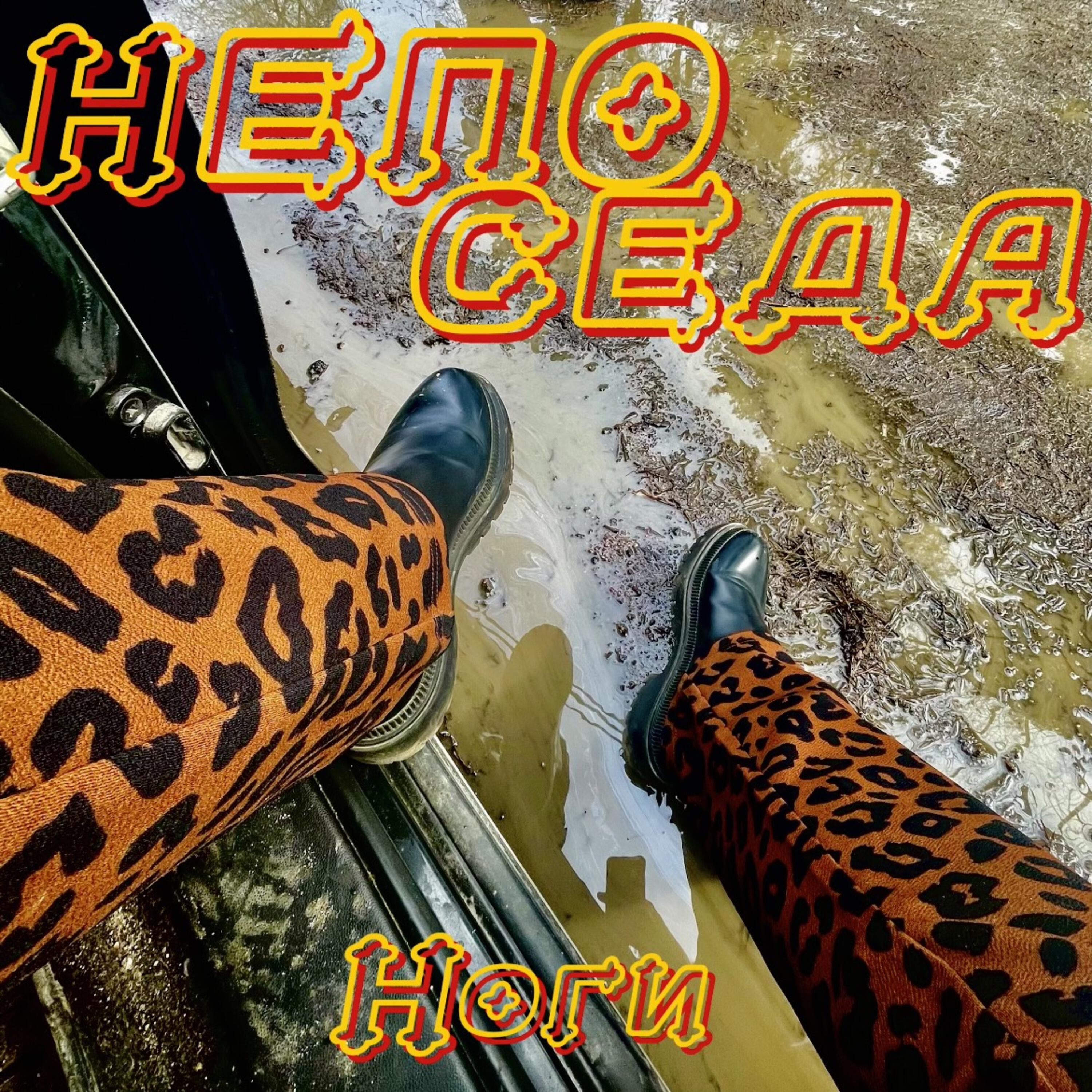 Релиз Ноги