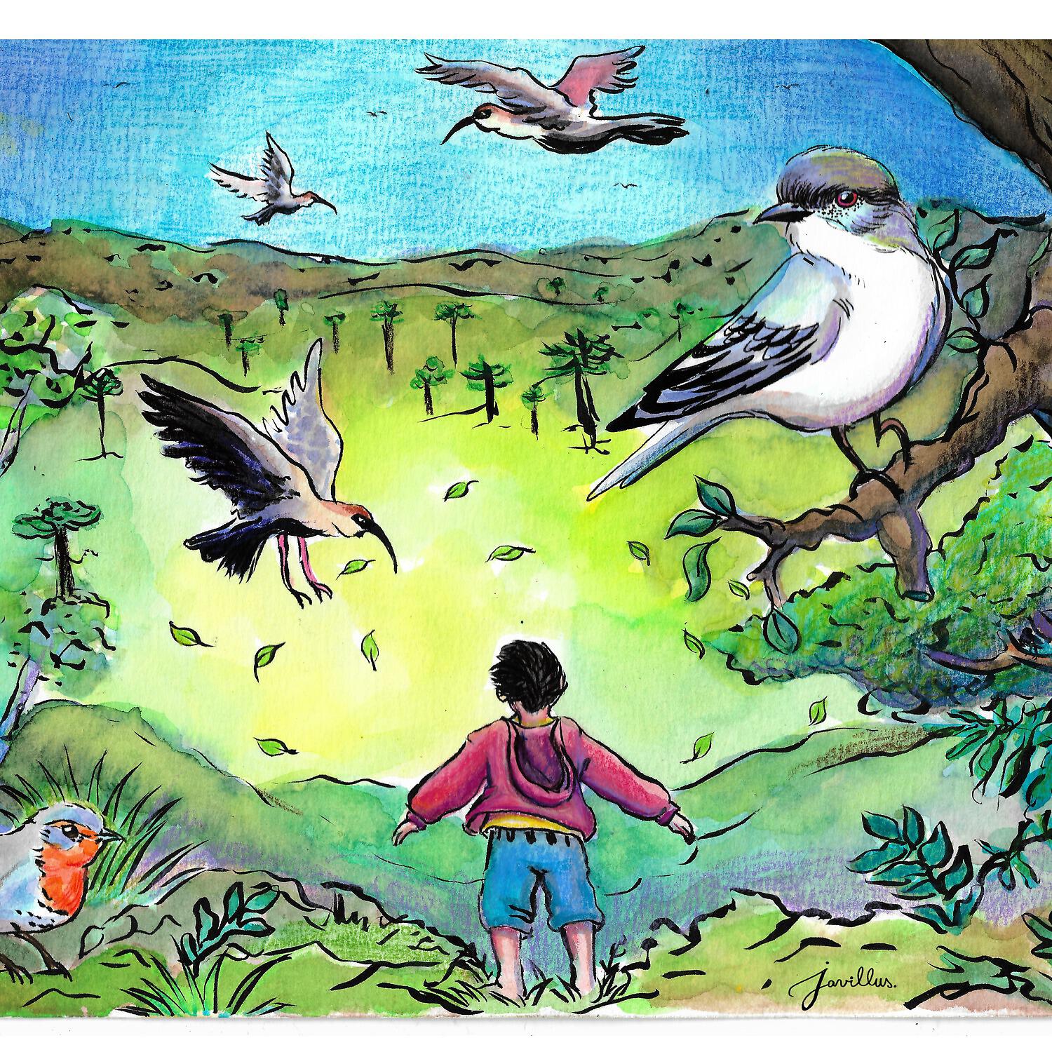 Релиз Pericona de las aves