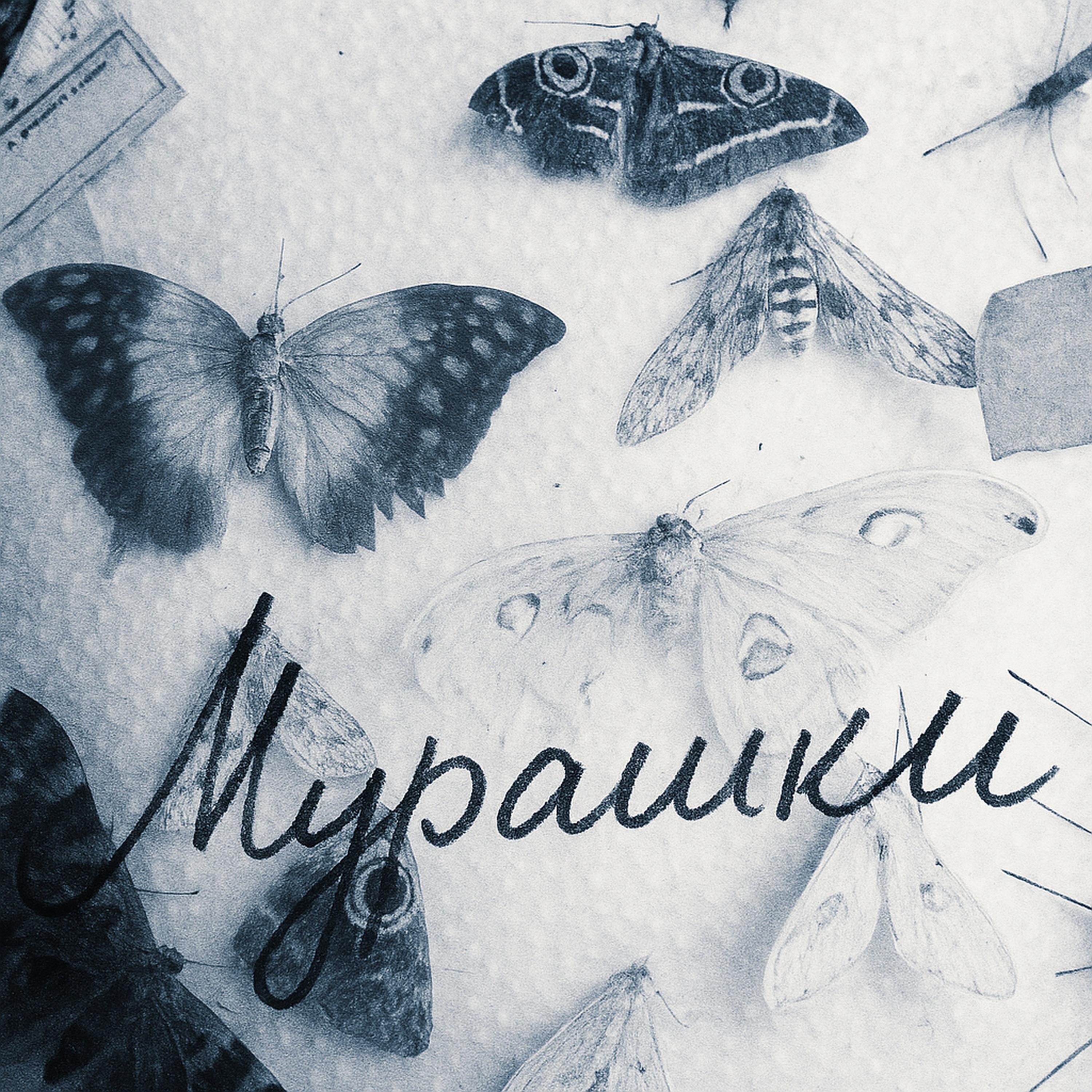 Релиз Мурашки