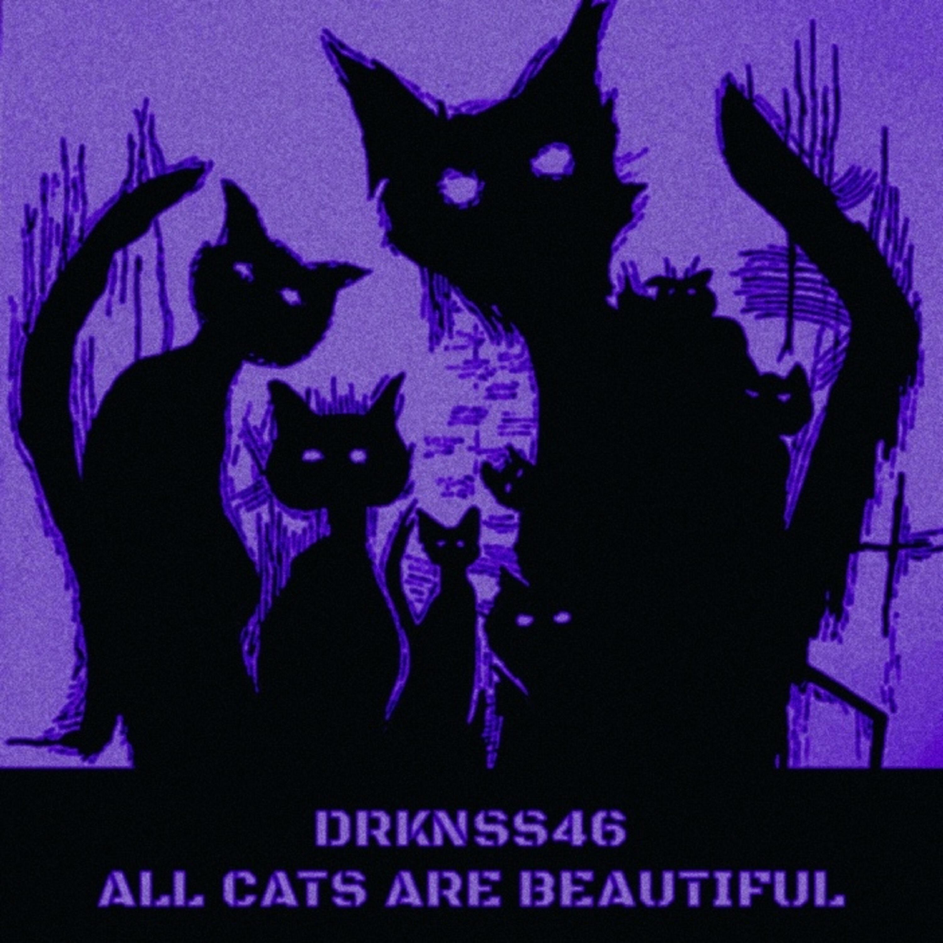 DRKNSS46