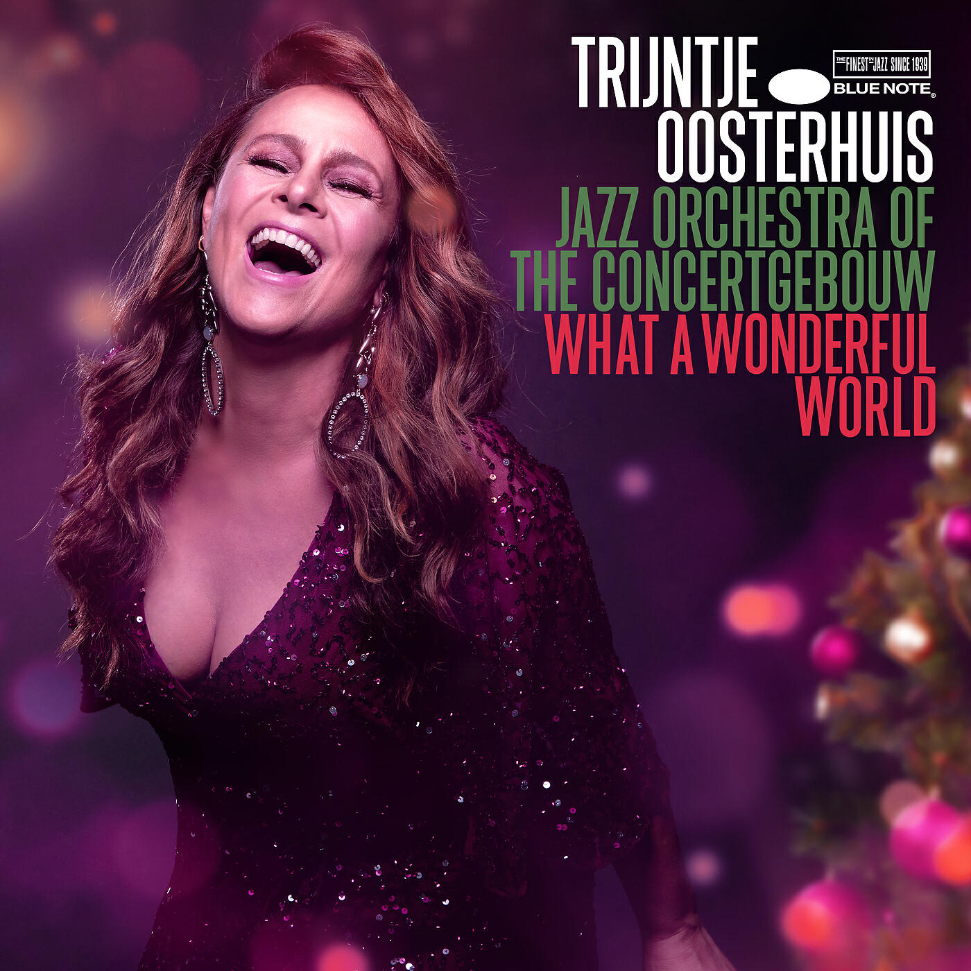 Скачать песню Trijntje Oosterhuis, Jazz  Orchestra of the Concertgebouw - What A Wonderful World бесплатно в MP3 для Android и iOS