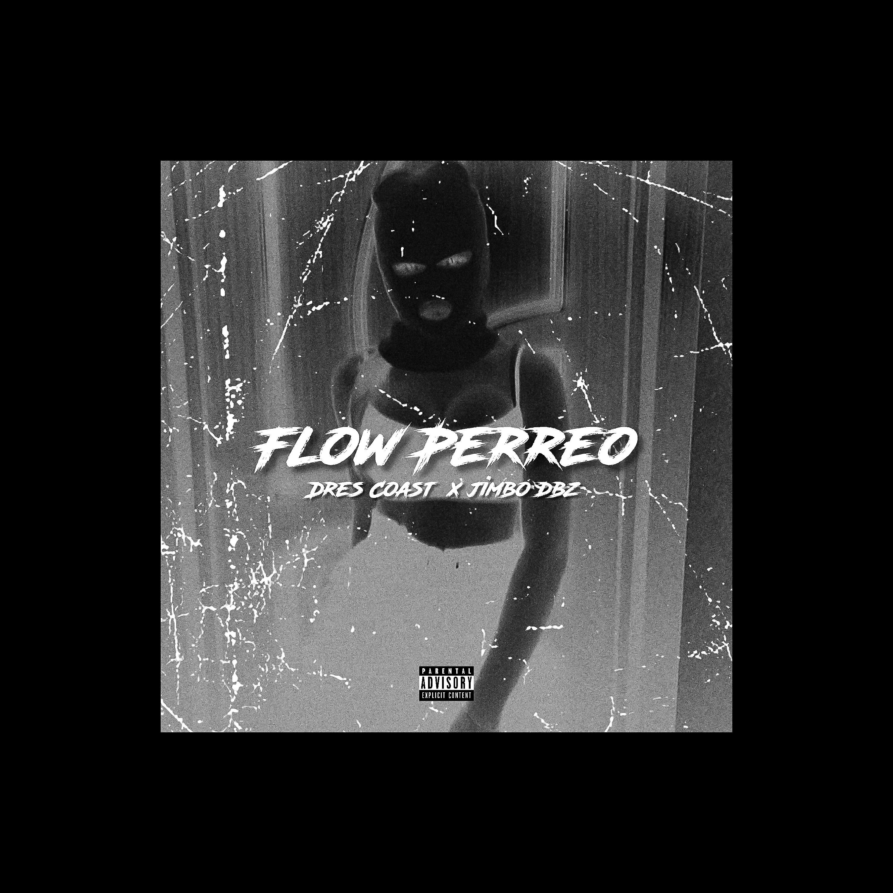 Релиз Flow Perreo