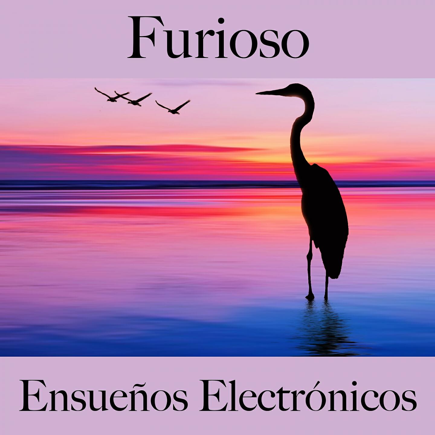Релиз Furioso: Ensueños Electrónicos - La Mejor Música Para Sentirse Mejor