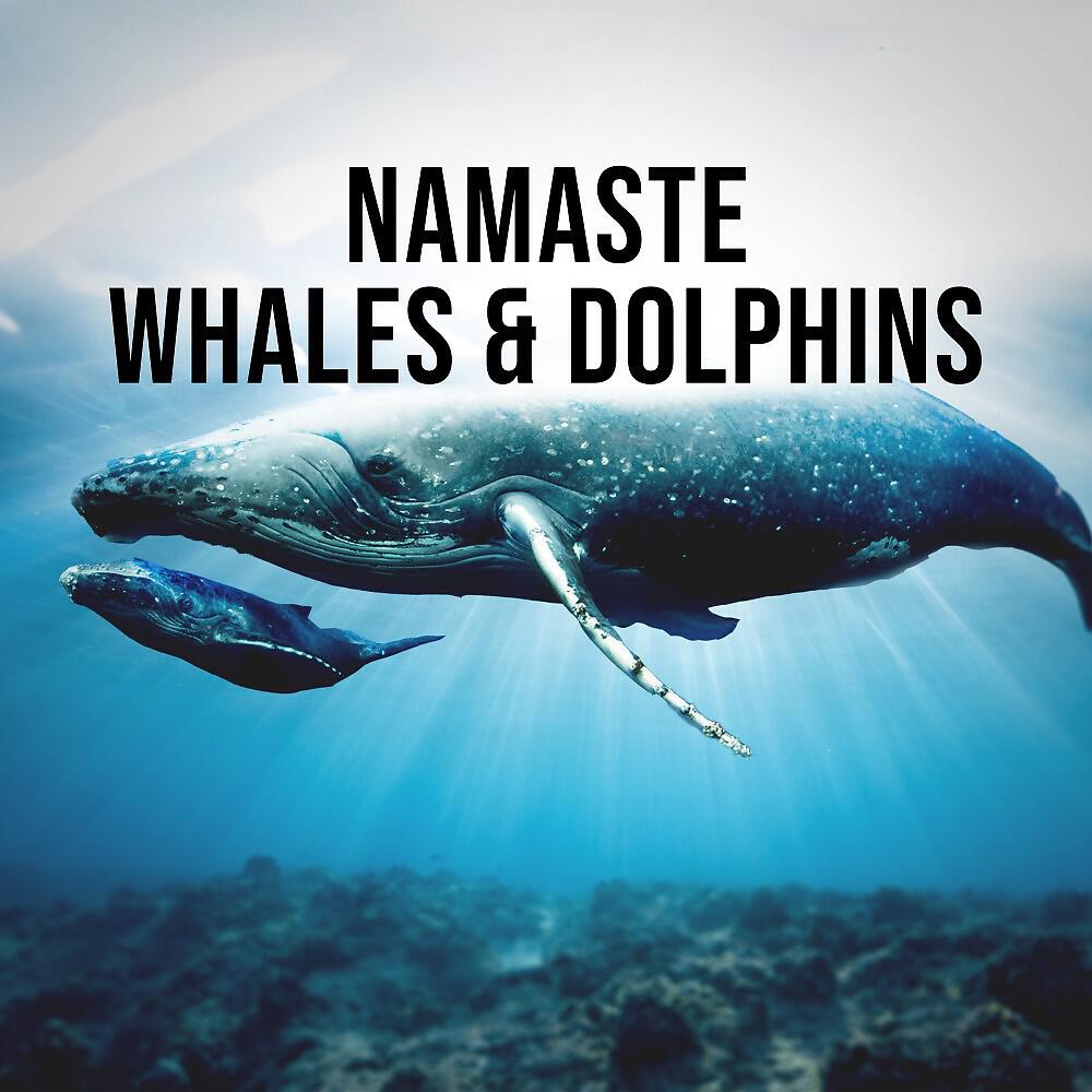 Релиз Namaste: Whales & Dolphins