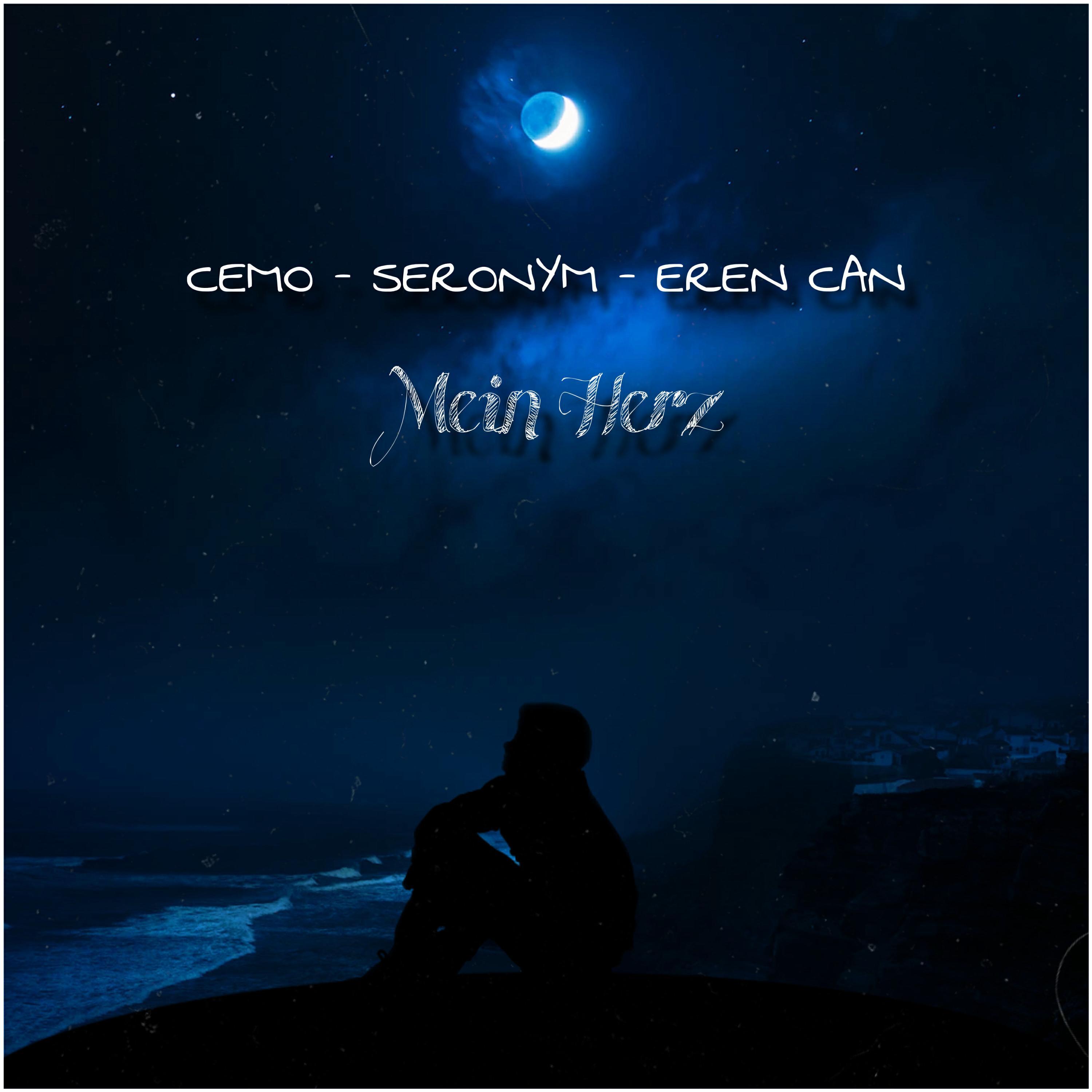 Релиз Mein Herz