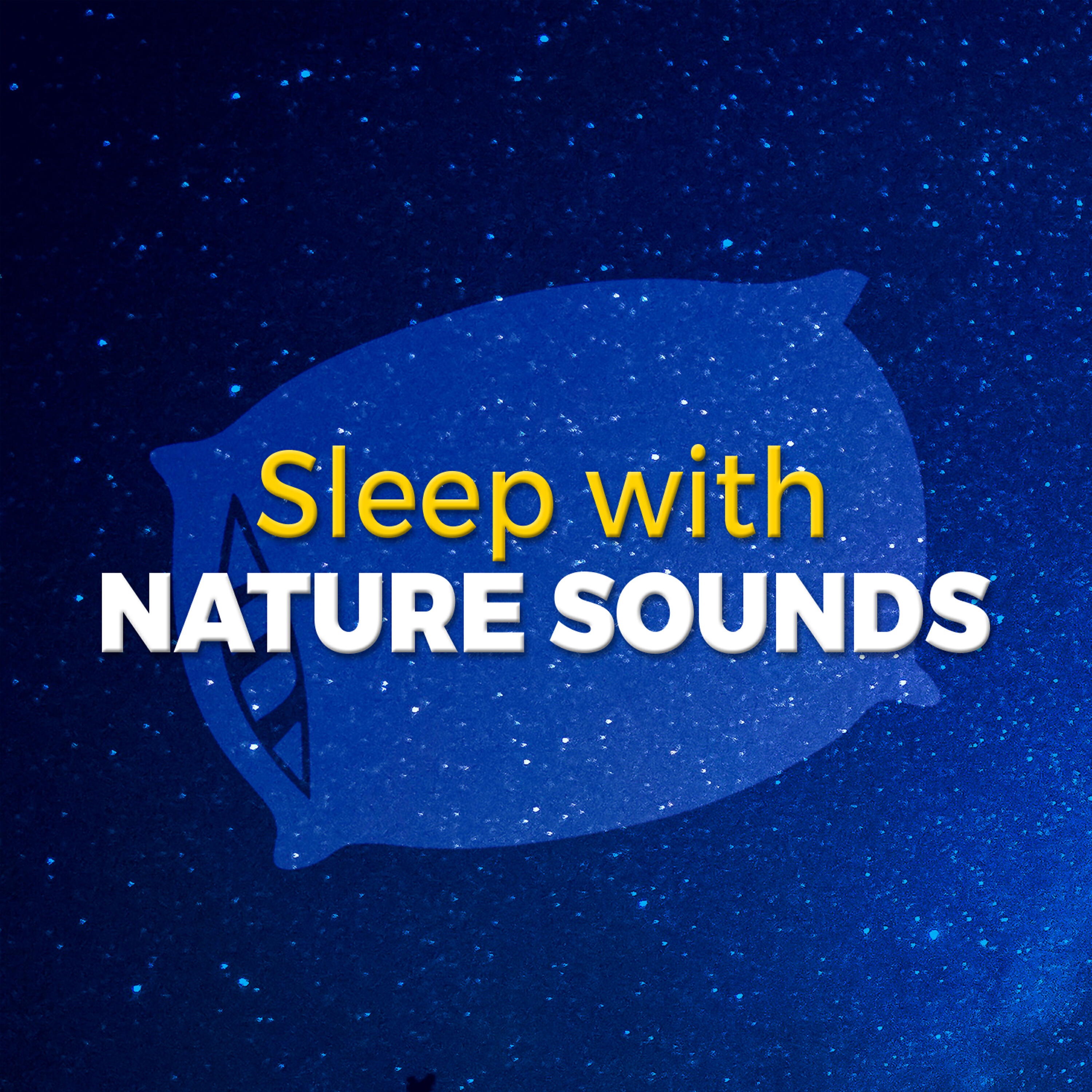 Релиз Sleep with Nature Sounds