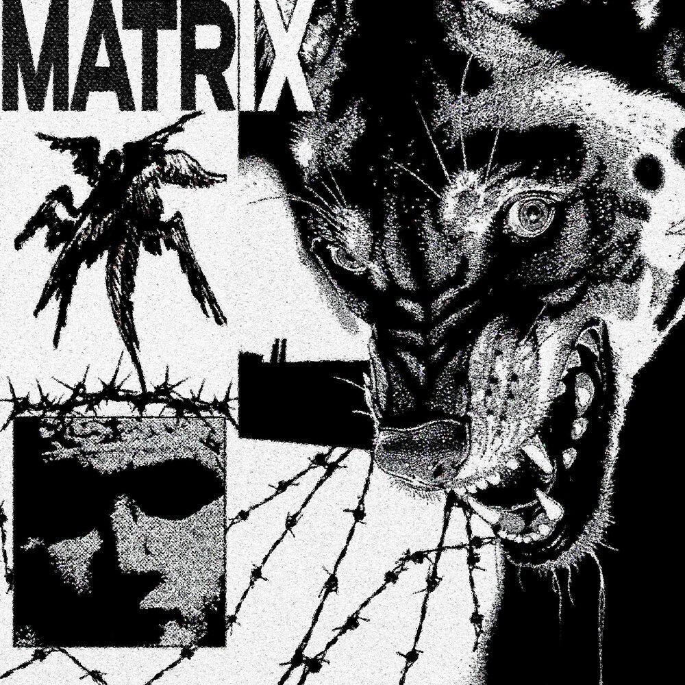 Релиз MATRIX