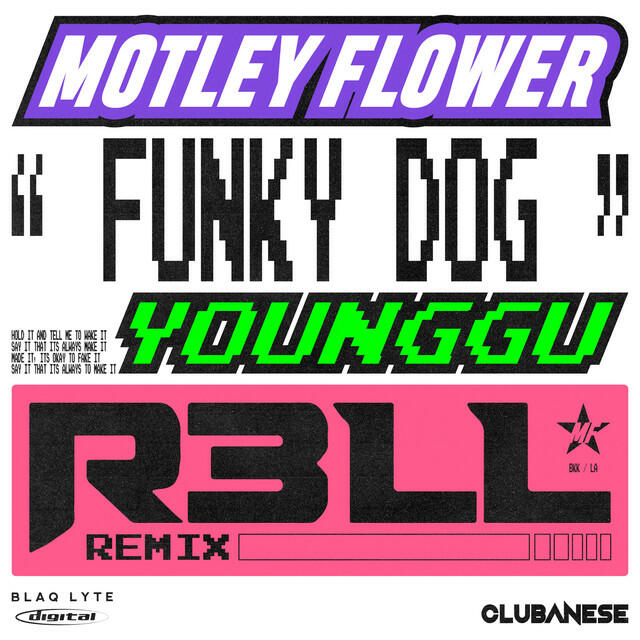 Релиз FUNKY DOG (R3LL Remix)