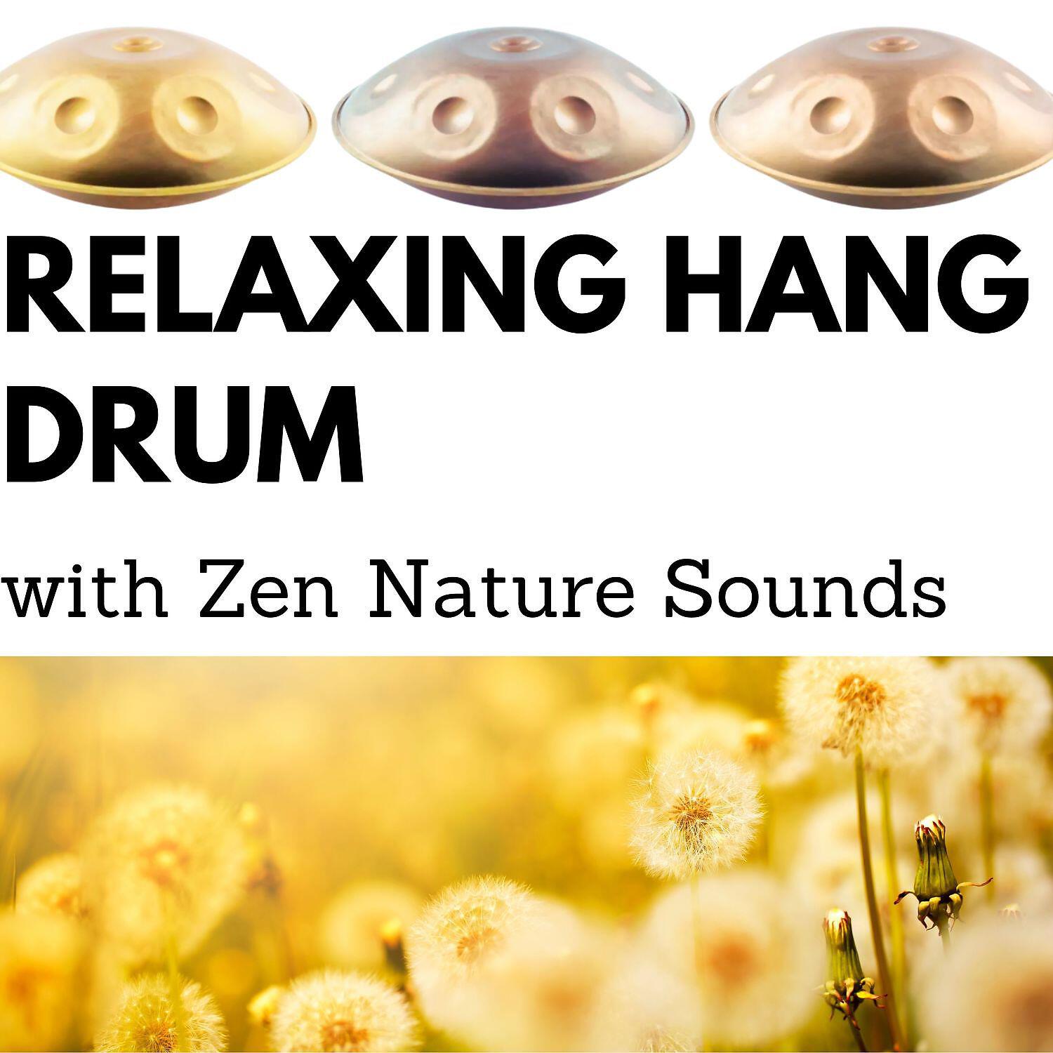 Релиз Relaxing Hang Drum with Zen Nature Sounds