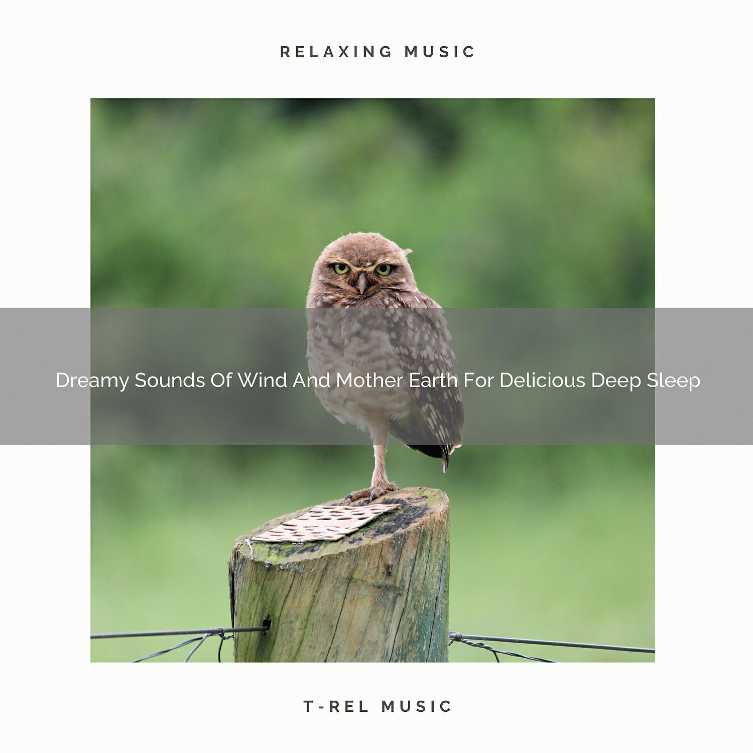 Релиз Dreamy Sounds Of Wind And Mother Earth For Delicious Deep Sleep