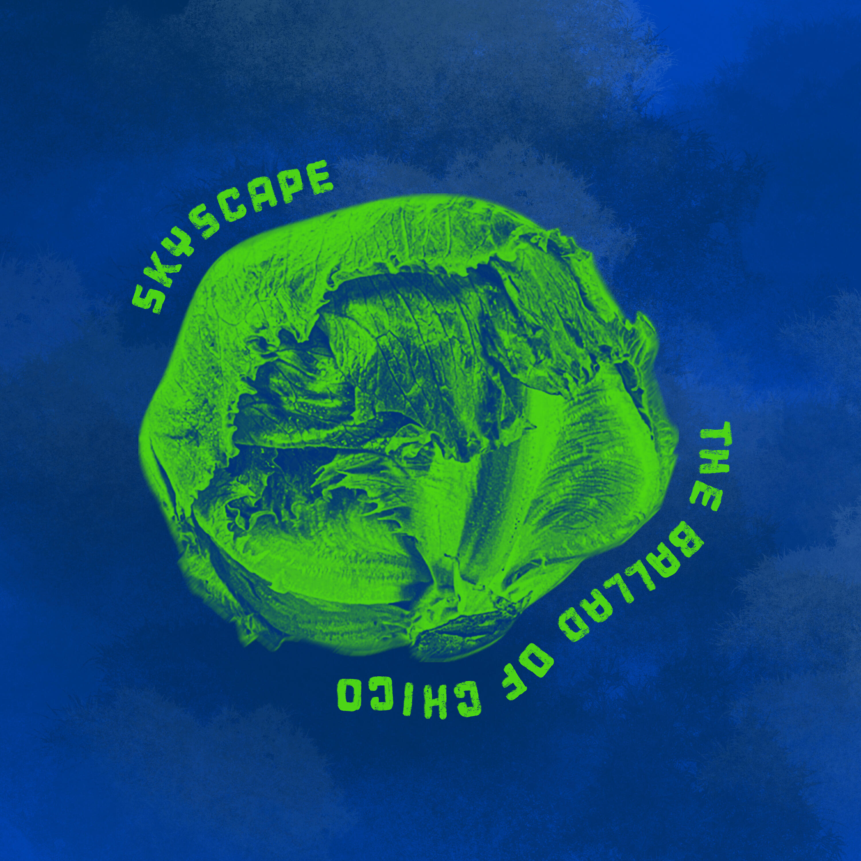 Релиз The Ballad of Chico