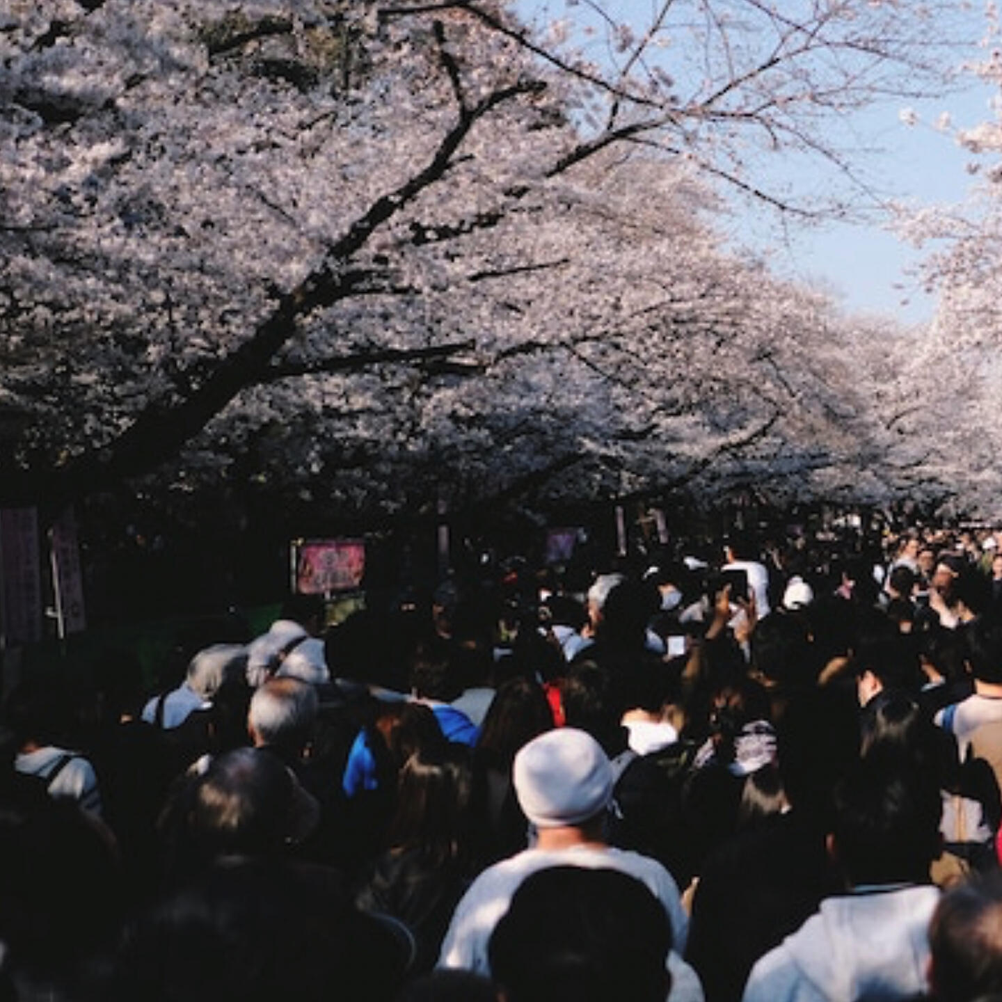 Релиз gatsu がつ