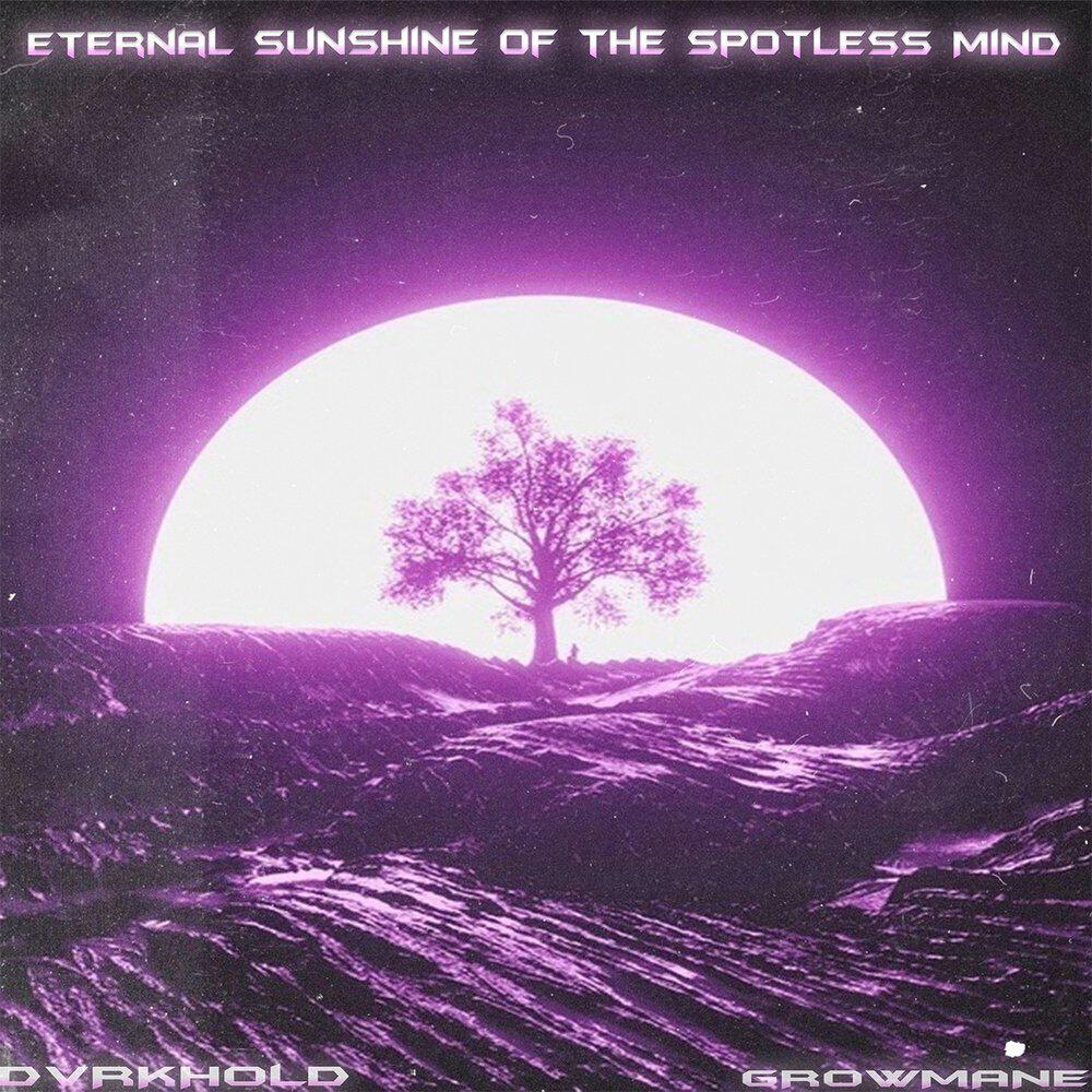 Релиз Eternal Sunshine of the Spotless Mind