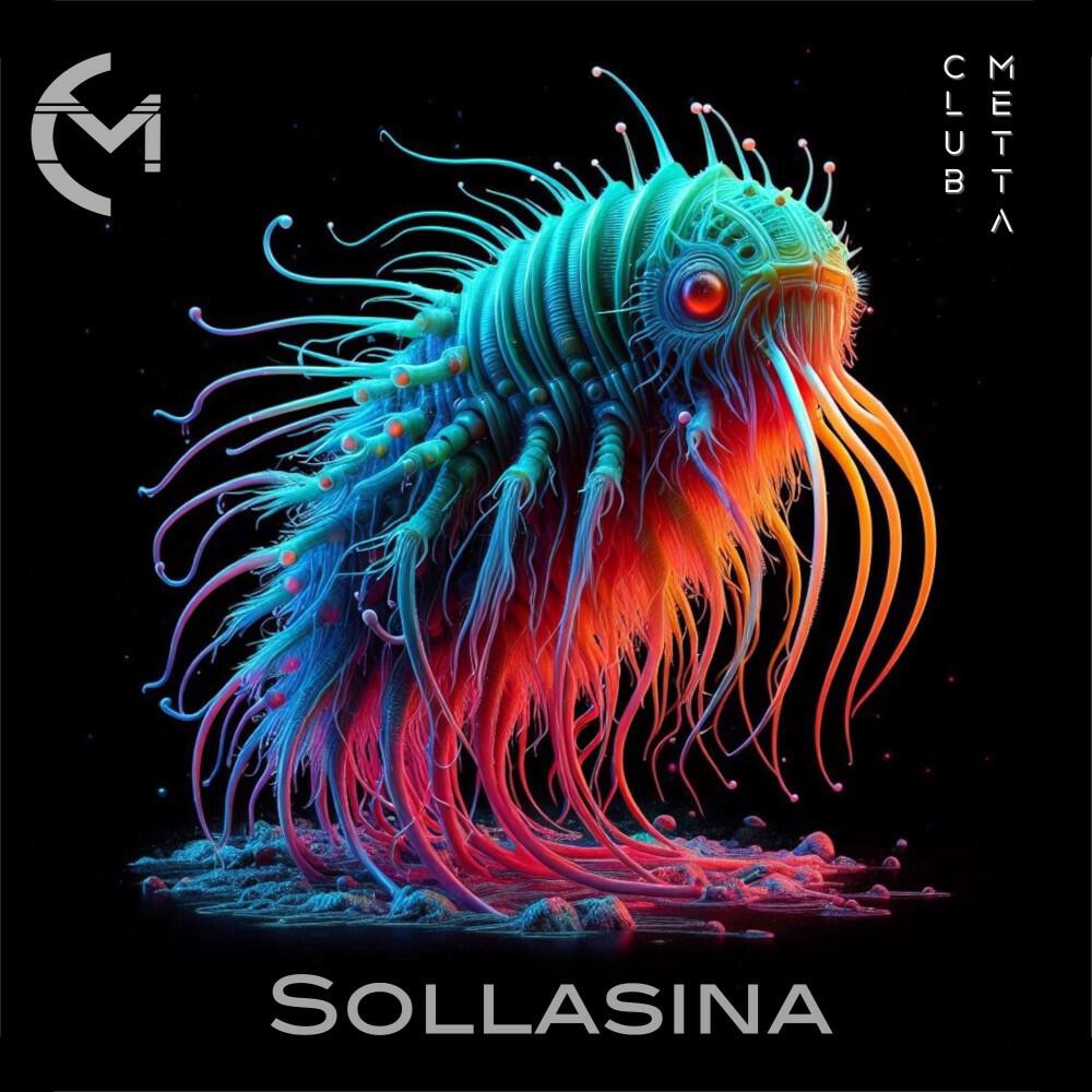 Релиз Sollasina