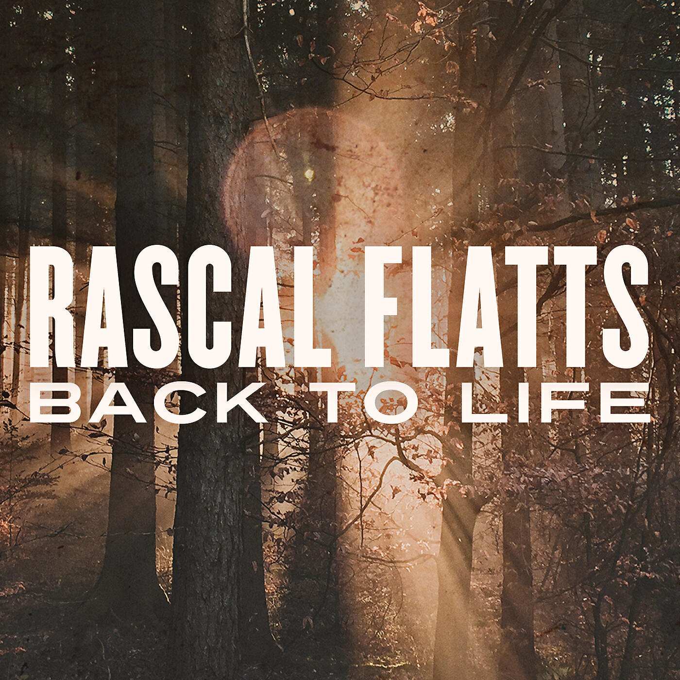 Релиз Back To Life