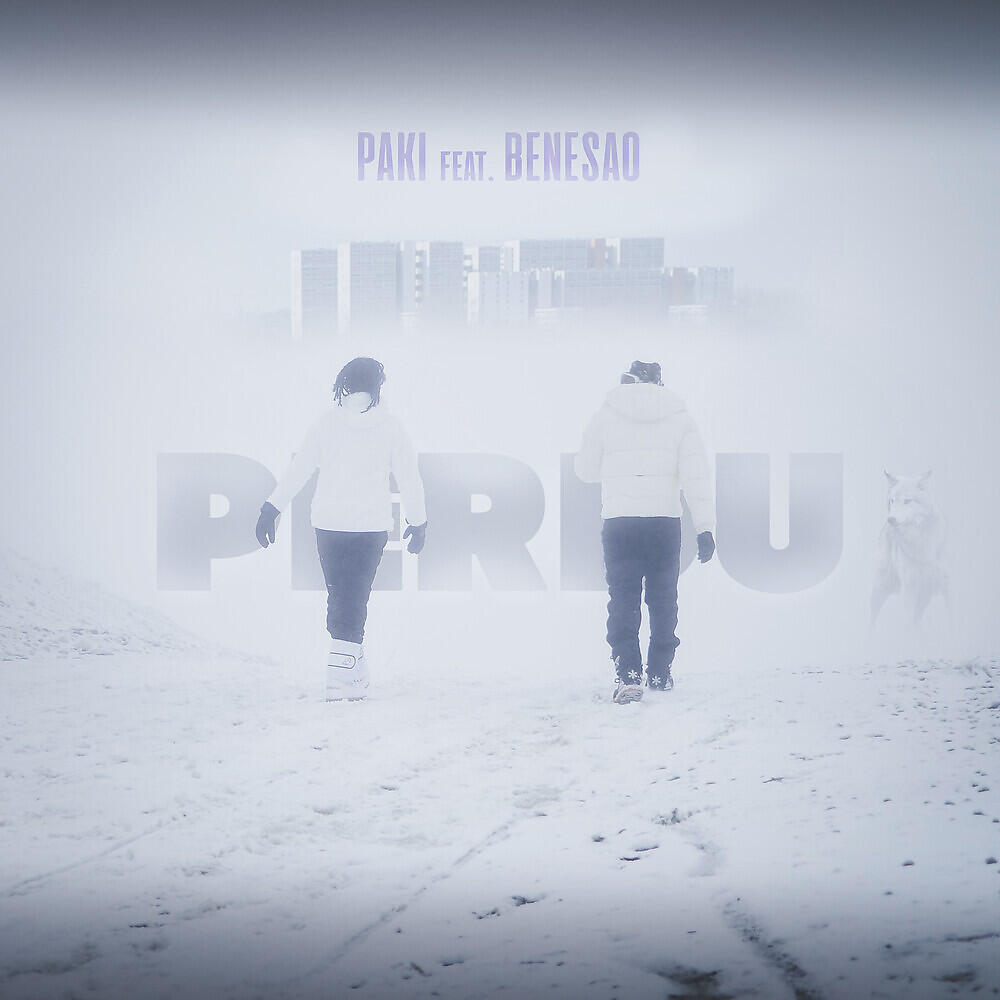 Релиз PERDU