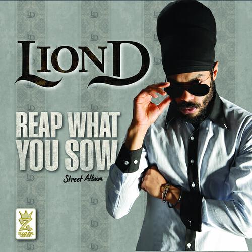 Постер альбома Reap What You Sow