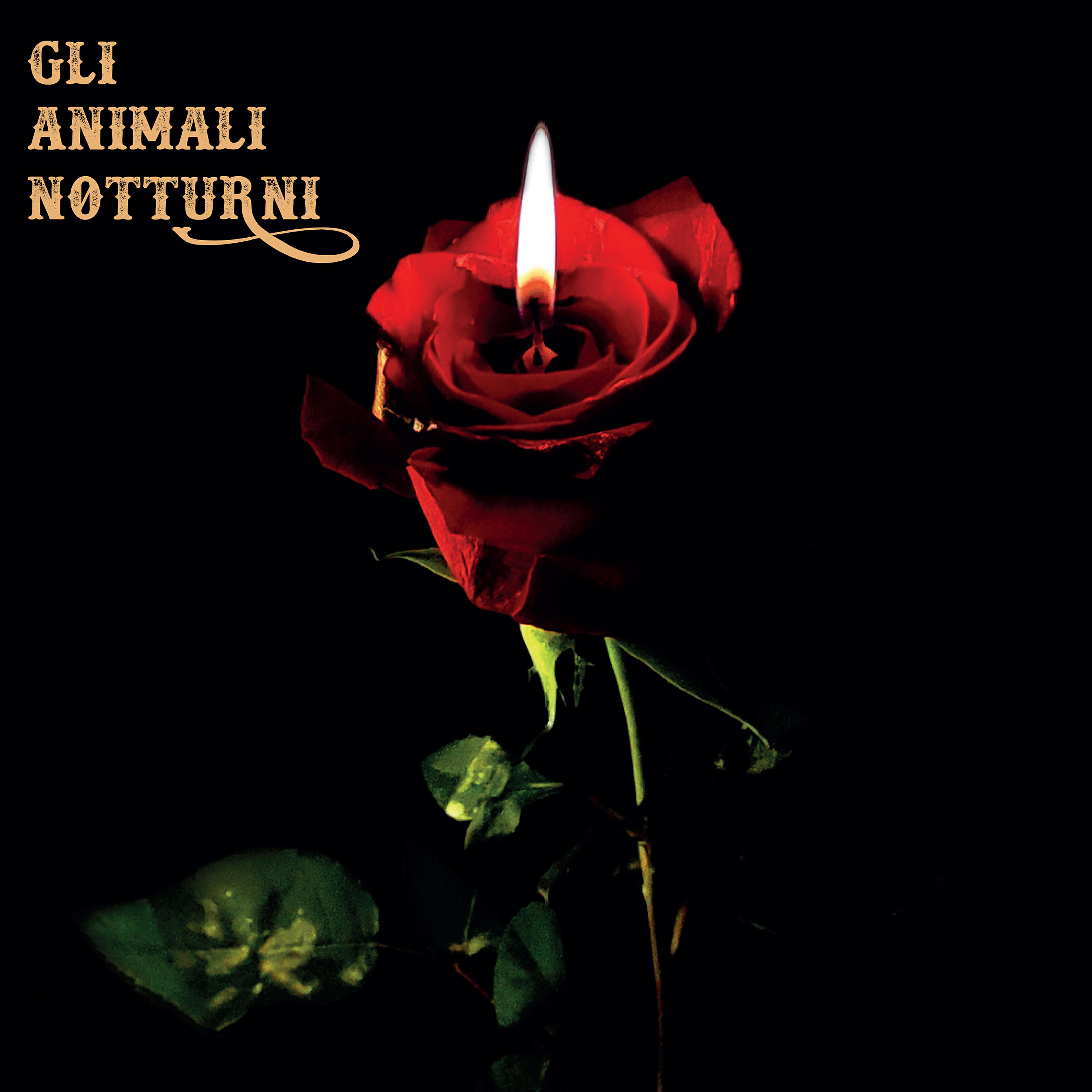 Gli Animali Notturni
