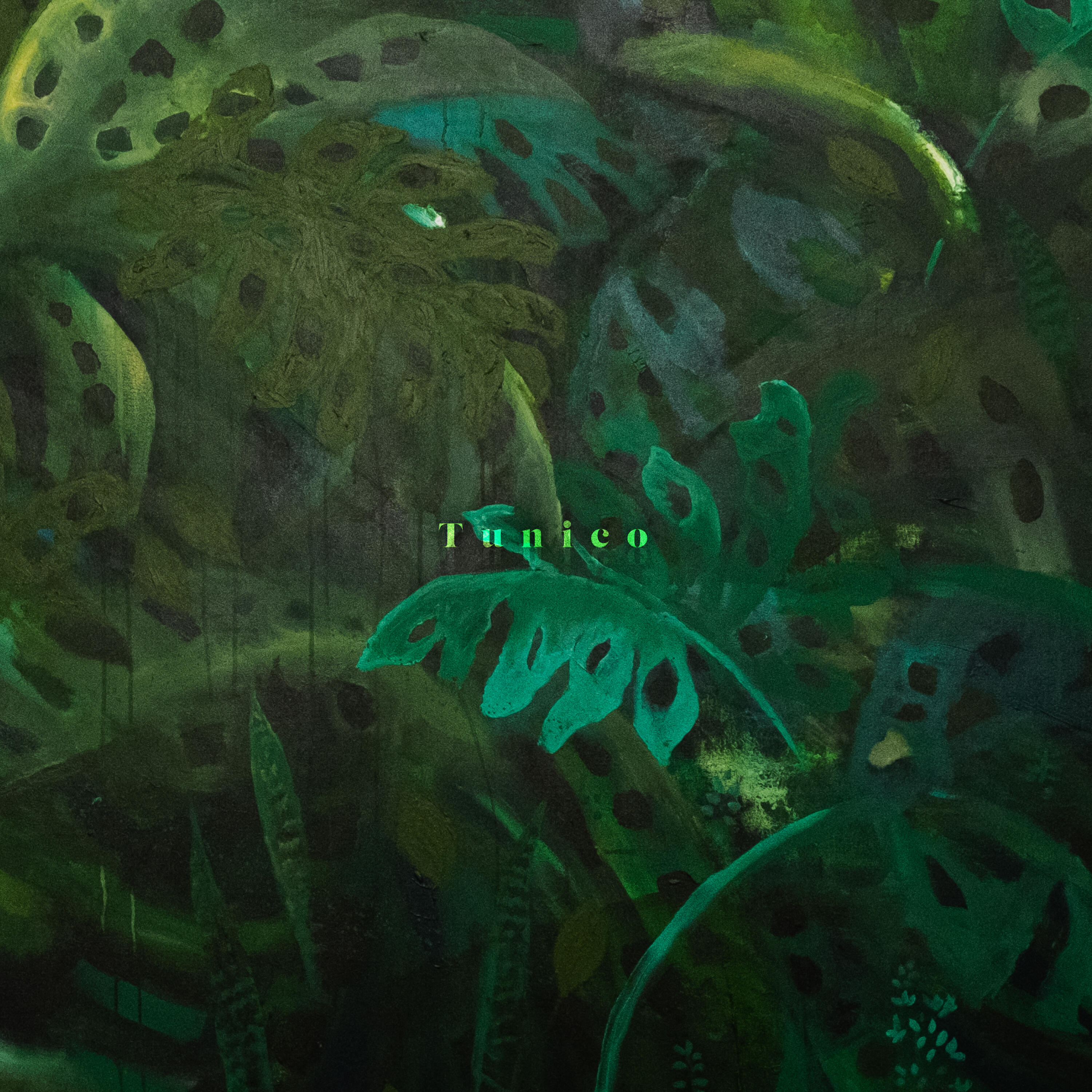 Релиз Tunico