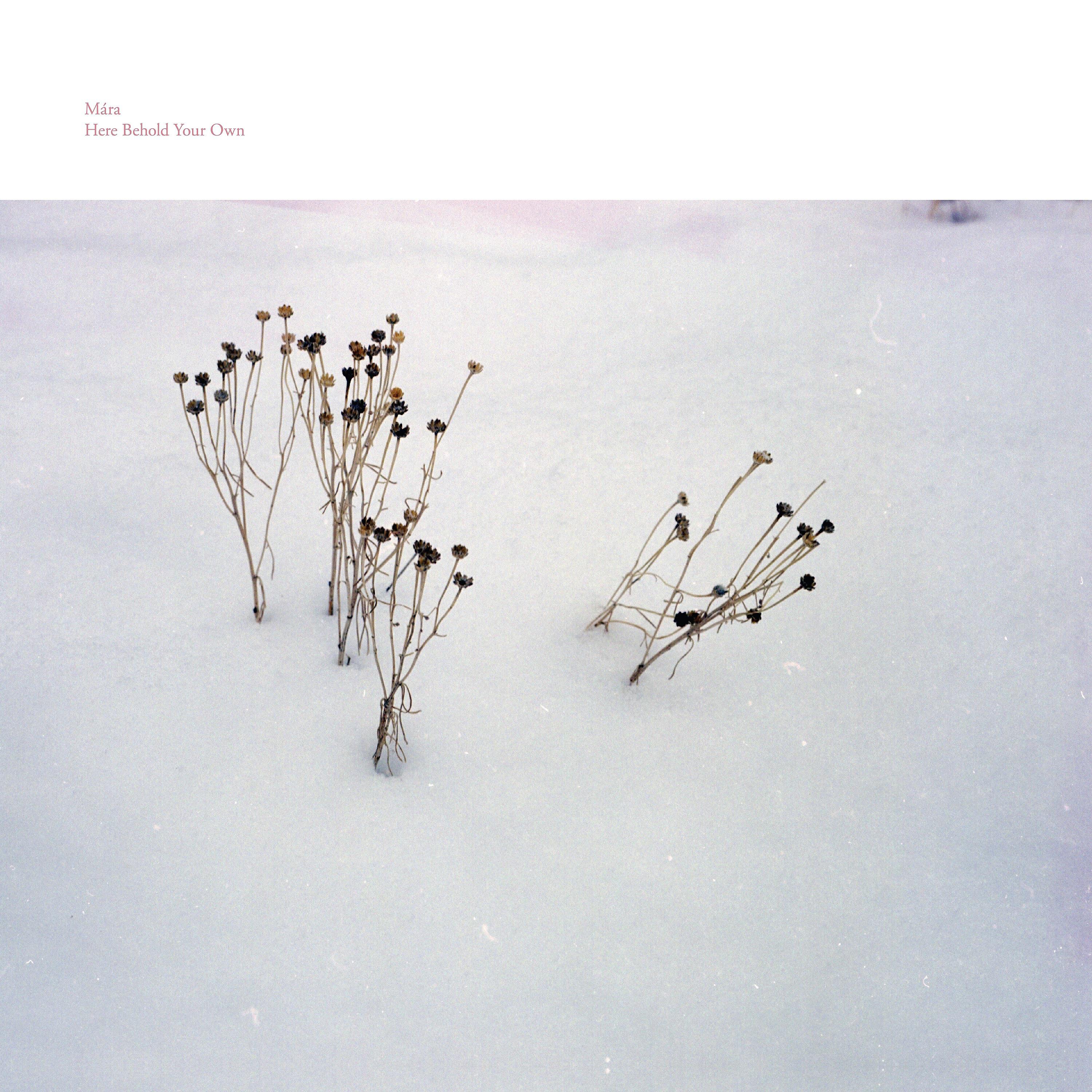 Релиз Here Behold Your Own