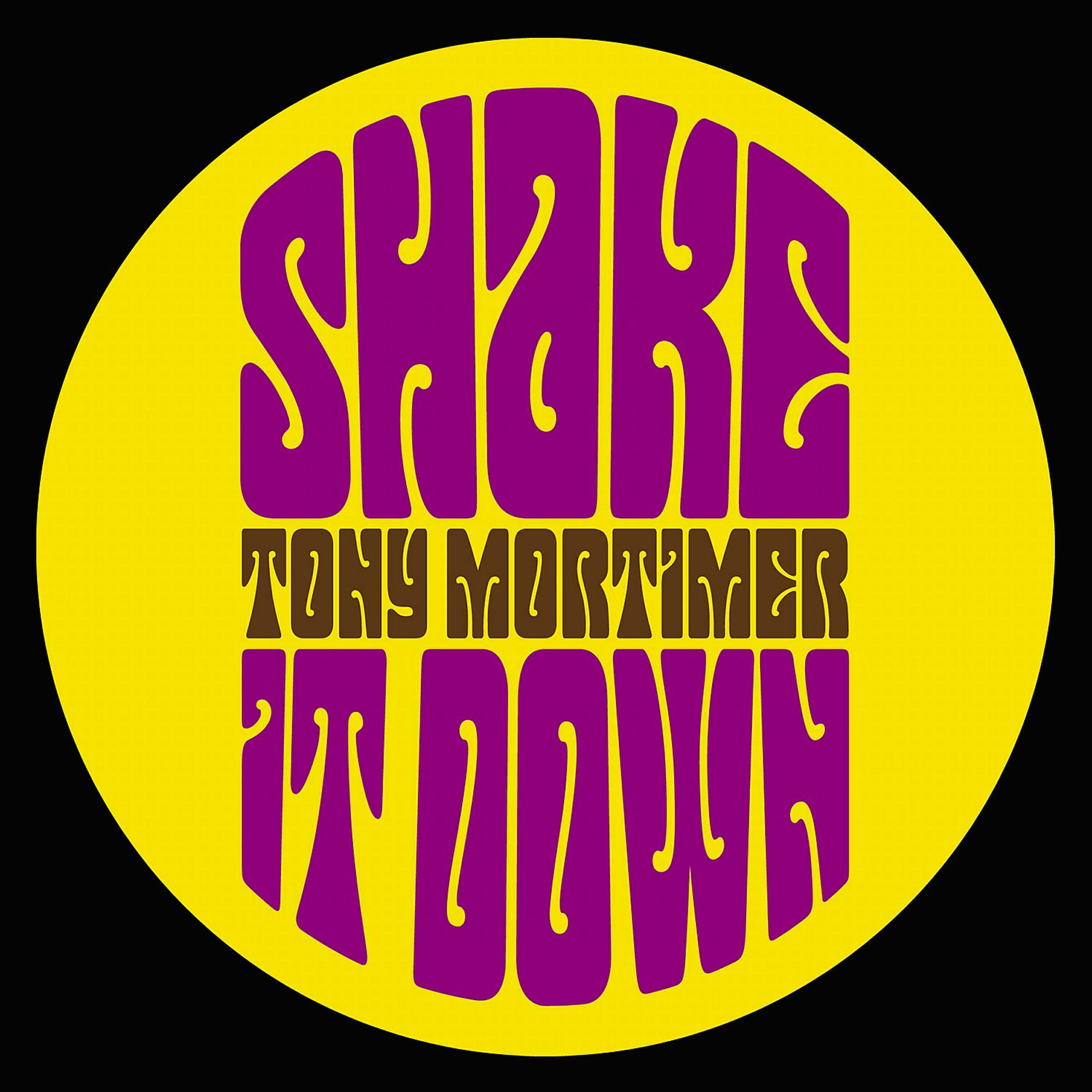 Релиз Shake It Down - Single