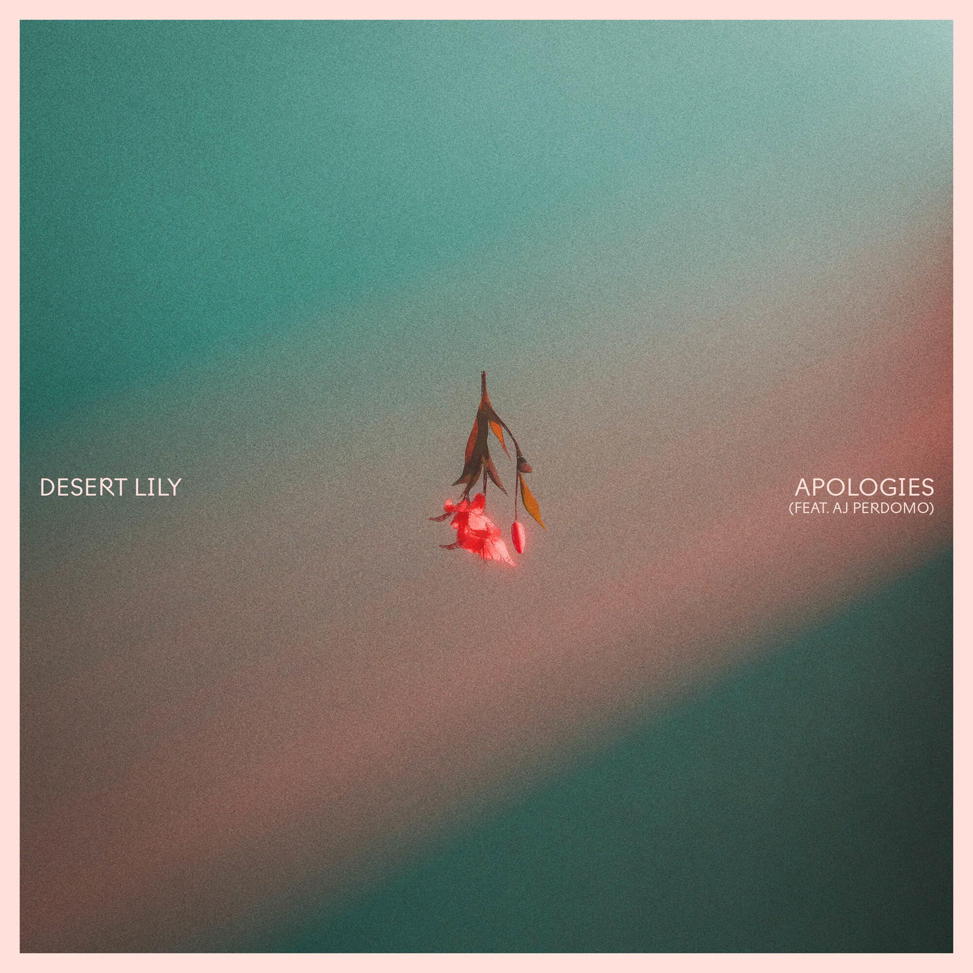 Релиз Apologies