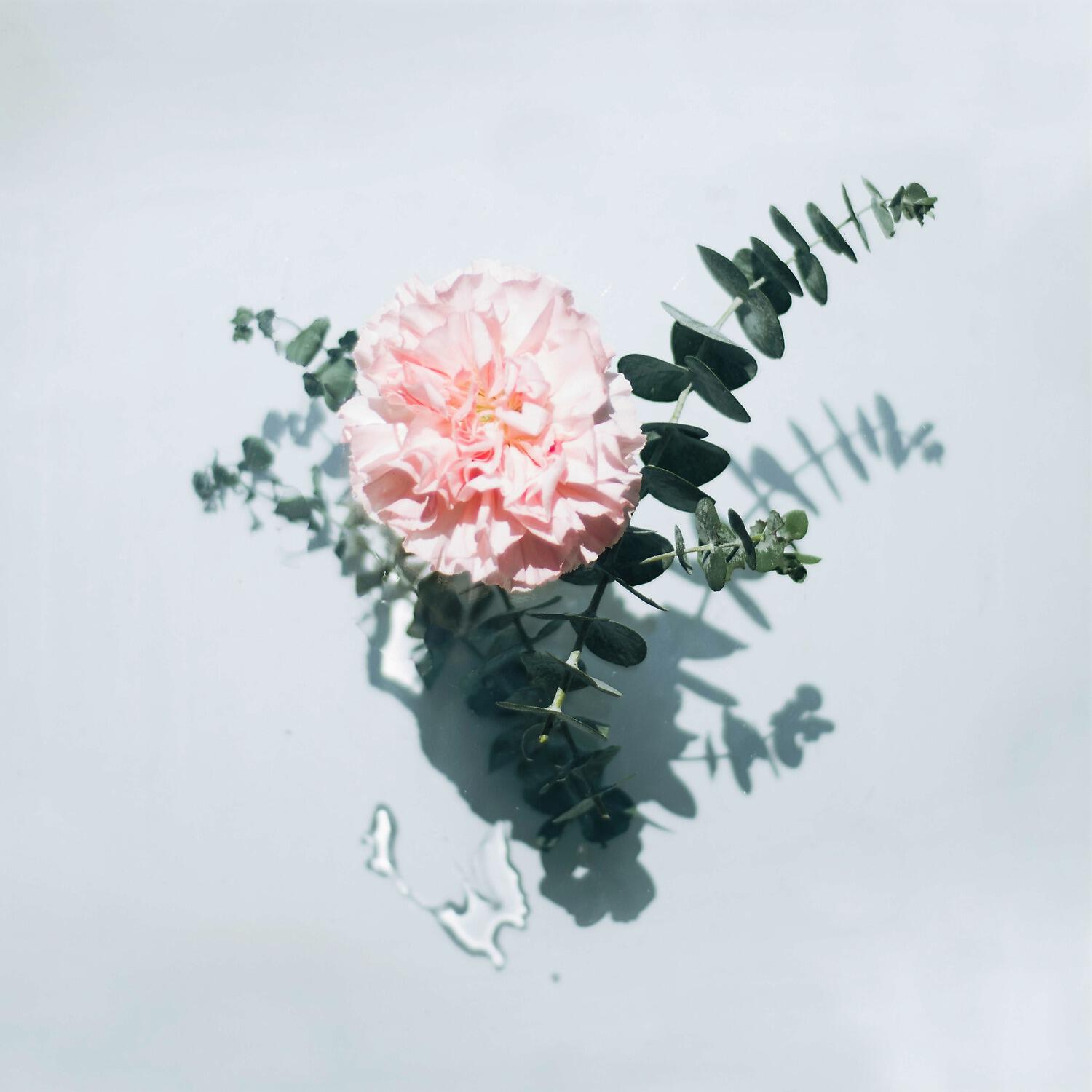 Релиз Relaxing Nature Music Therapy, Vol. 3
