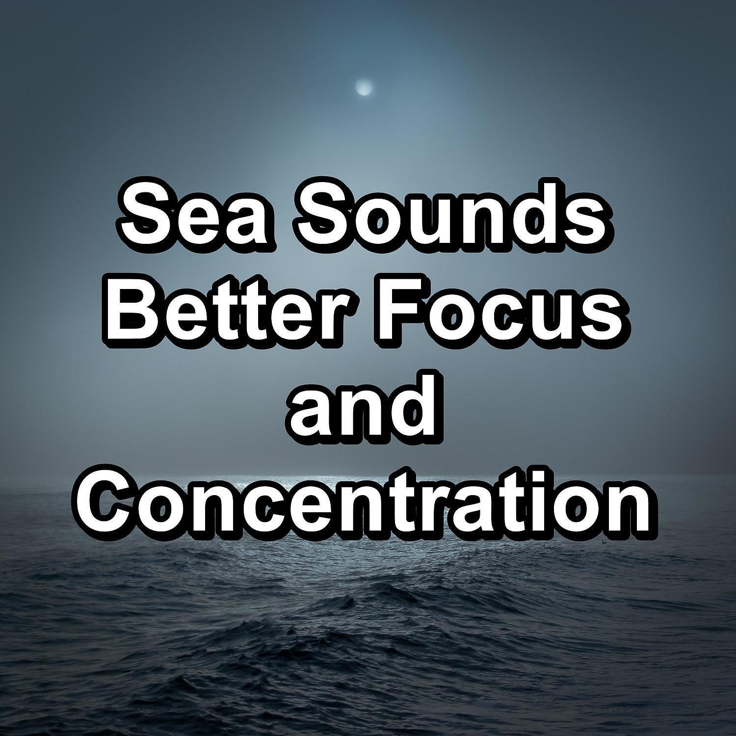Релиз Sea Sounds Better Focus and Concentration