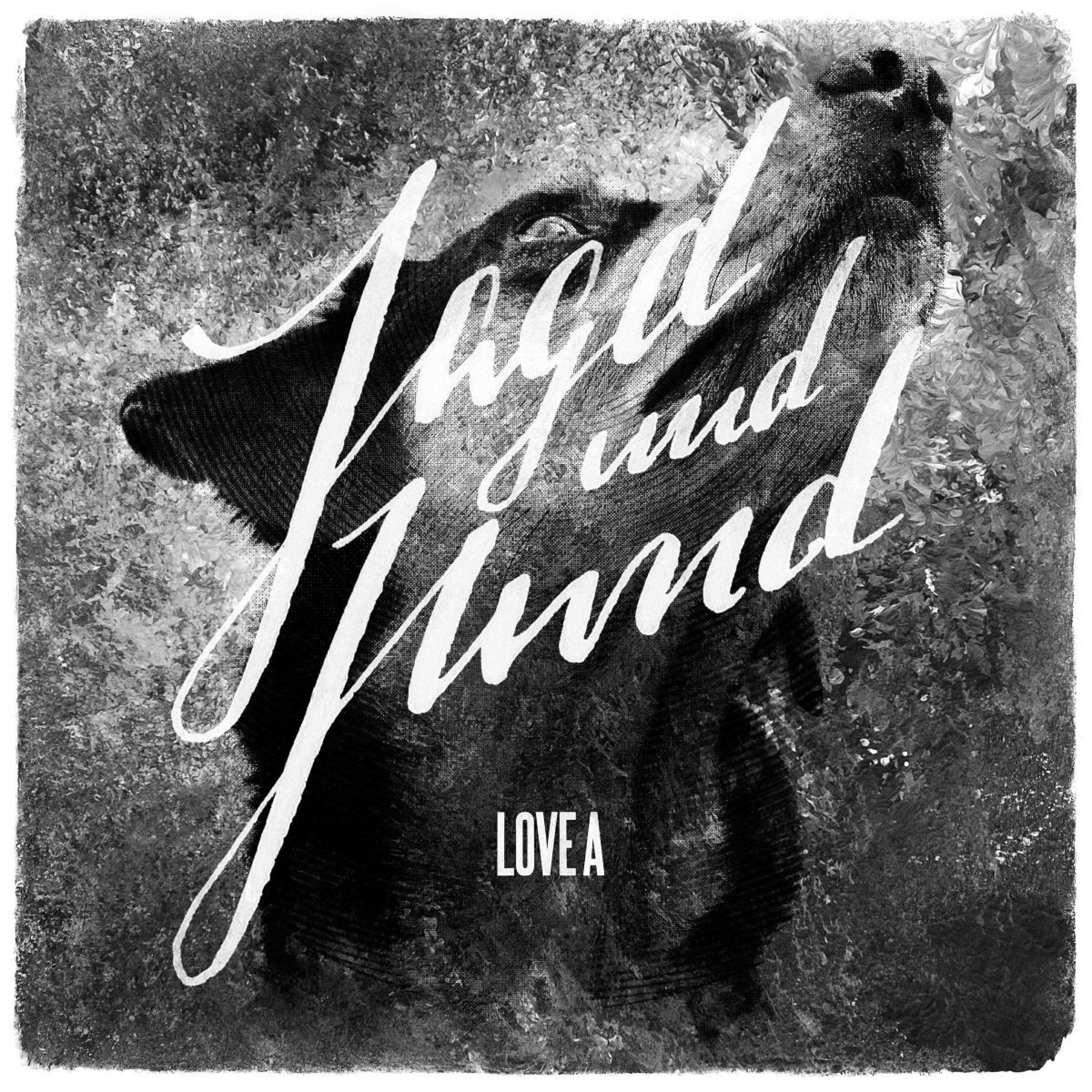 Релиз Jagd und Hund