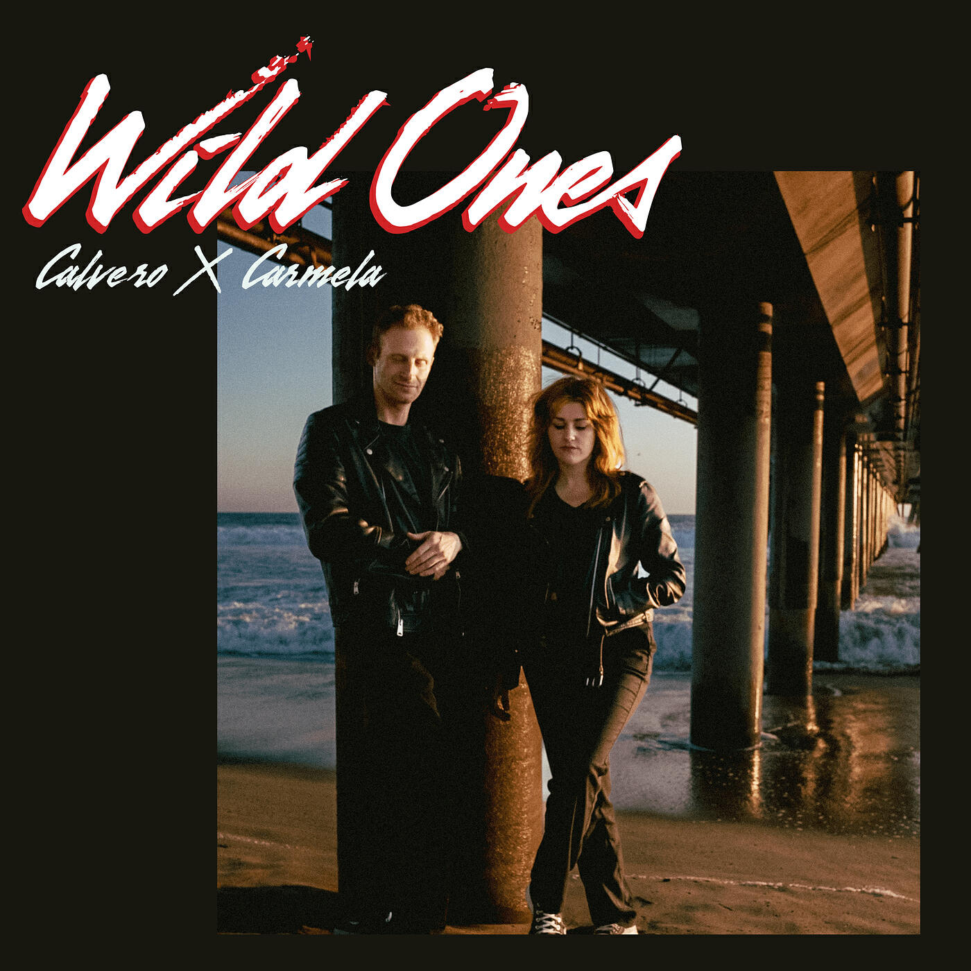 Постер альбома Wild Ones