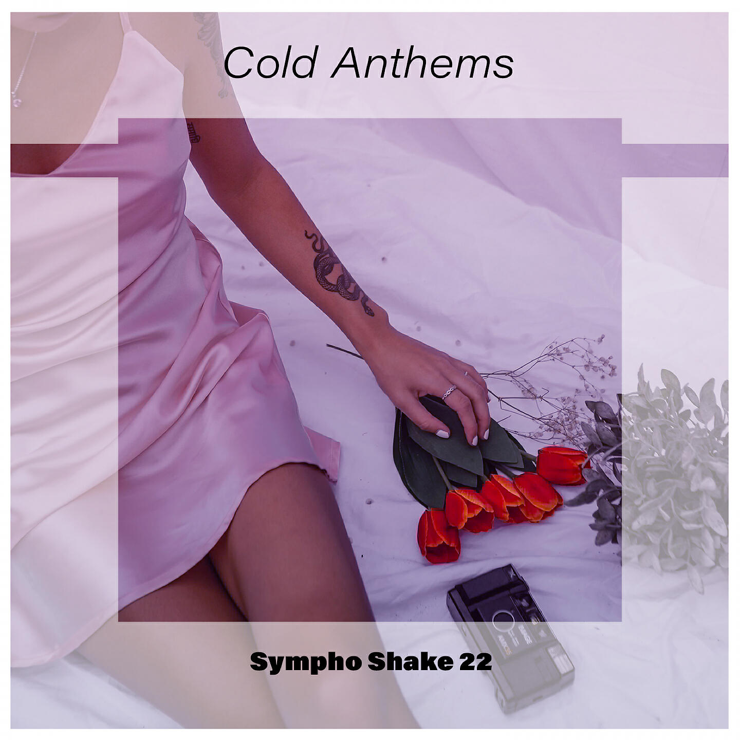 Релиз Cold Anthems Sympho Shake 22