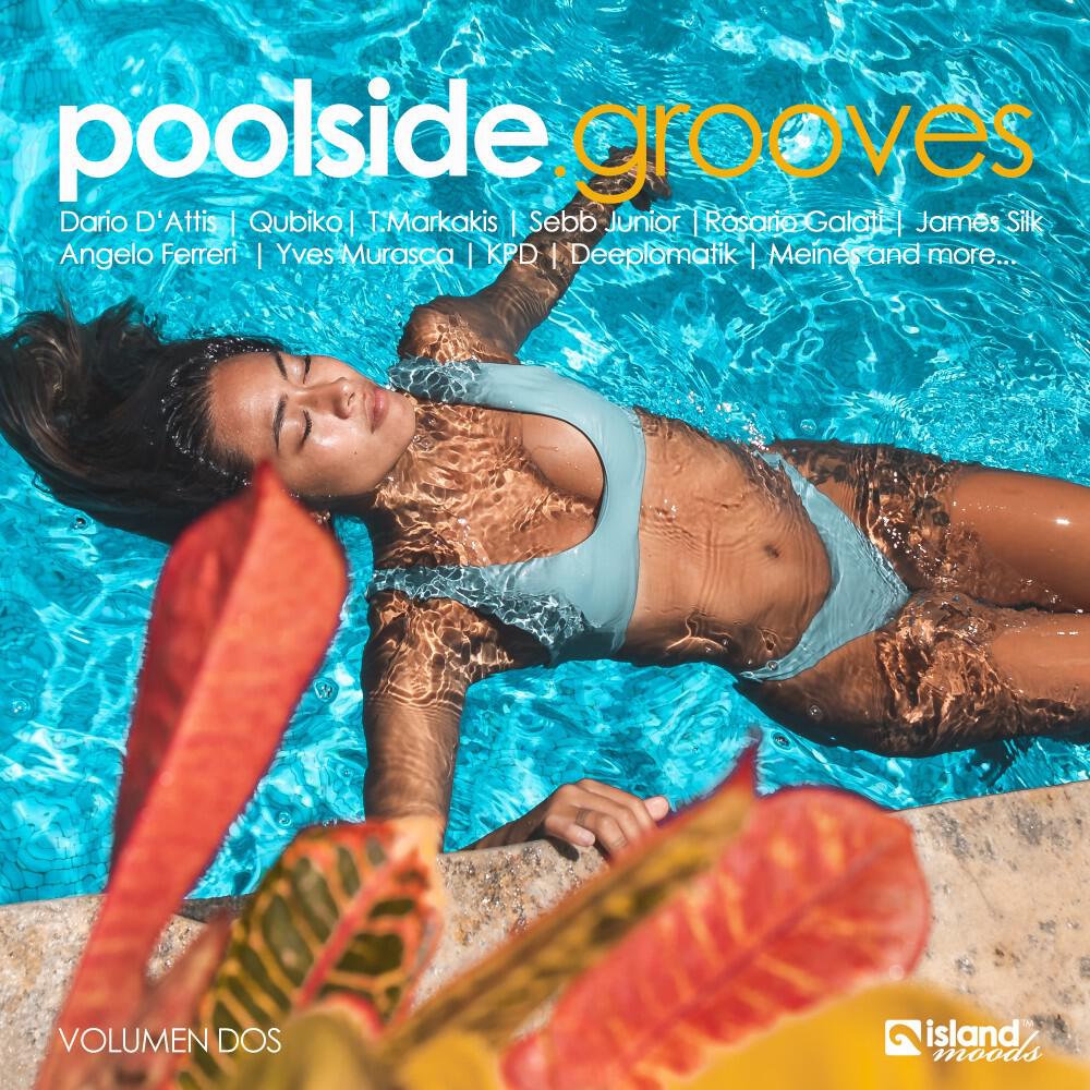 Постер альбома Poolside Grooves (Volumen Dos)
