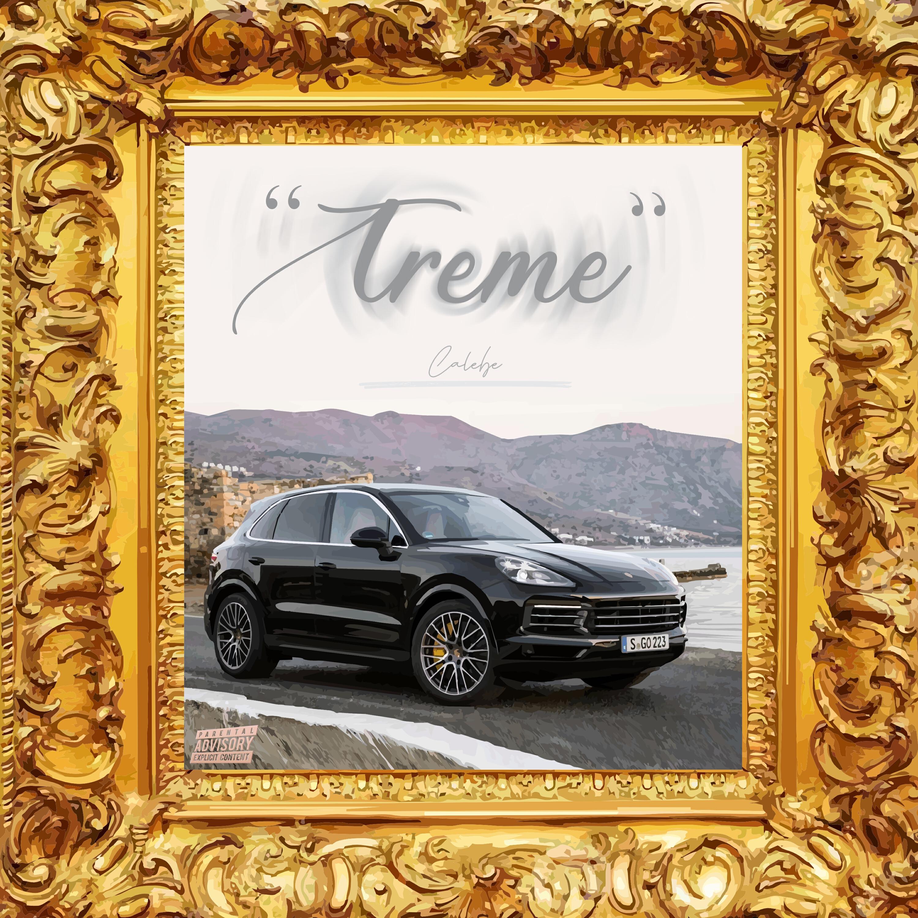Релиз Treme
