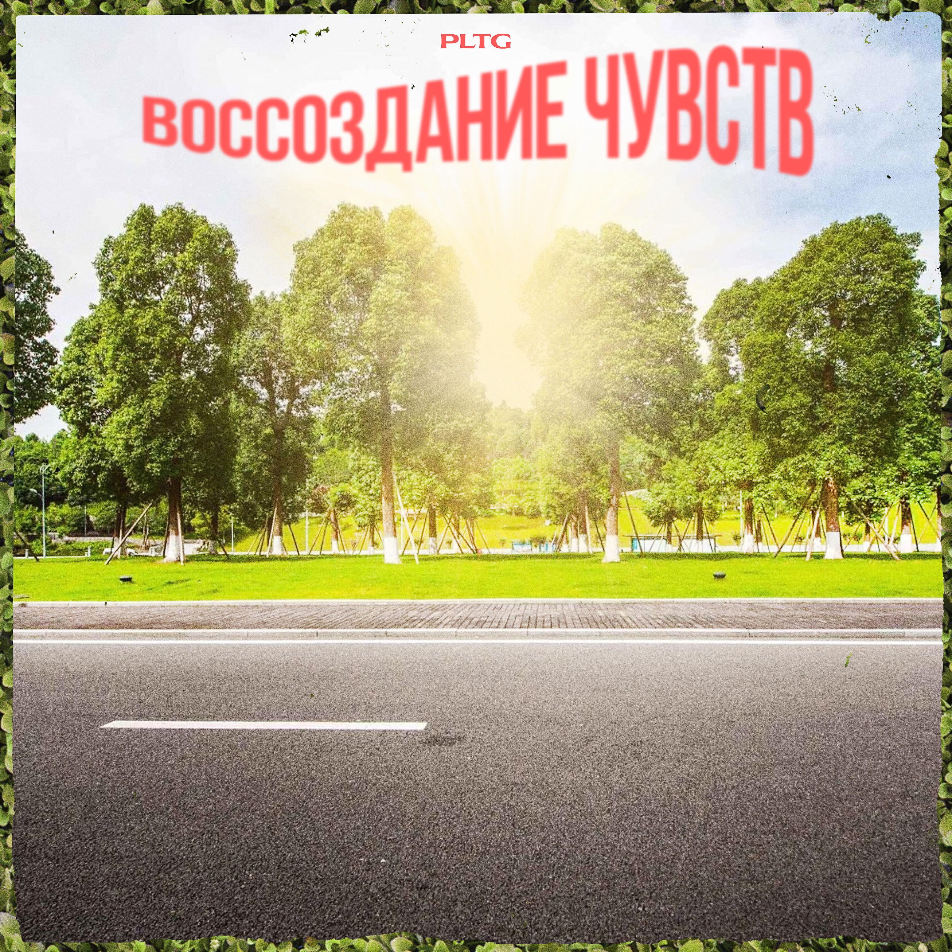 Релиз Воссоздание чувств