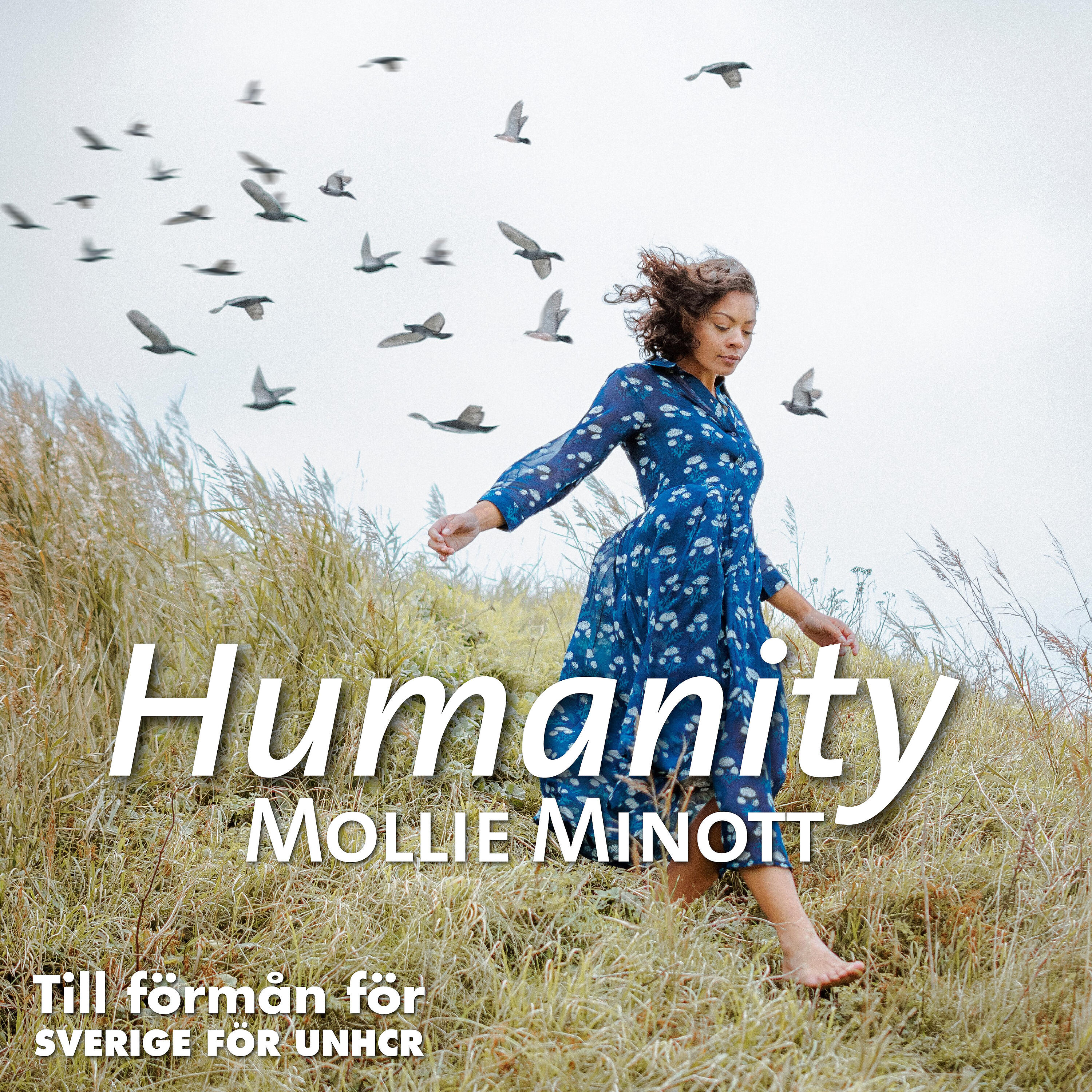 Релиз Humanity