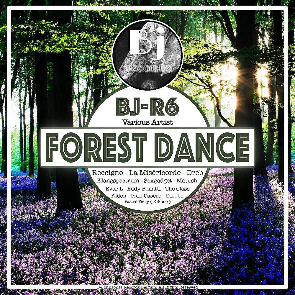Постер альбома Forest Dance (First Album of Our New BJ-R Series)