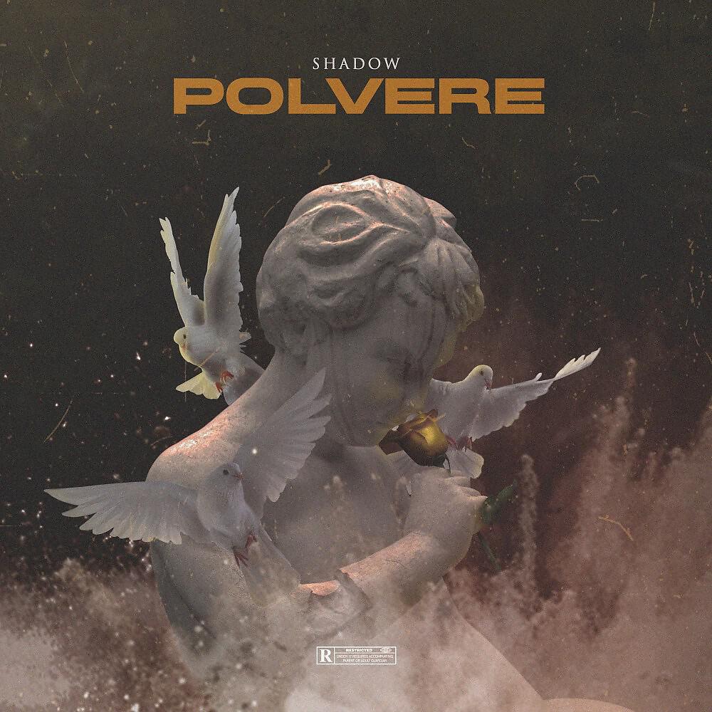 Релиз Polvere
