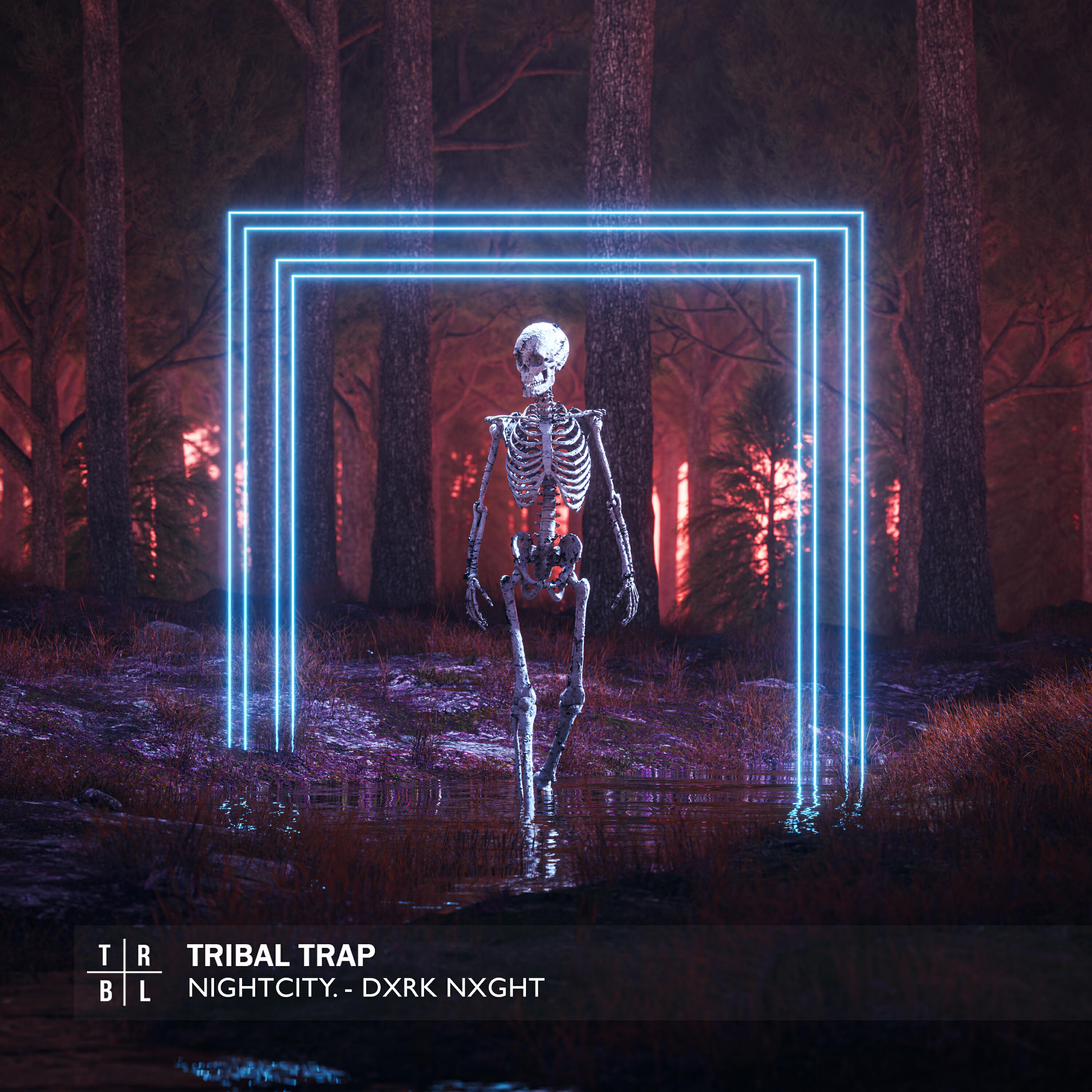 Релиз DXRK NXGHT