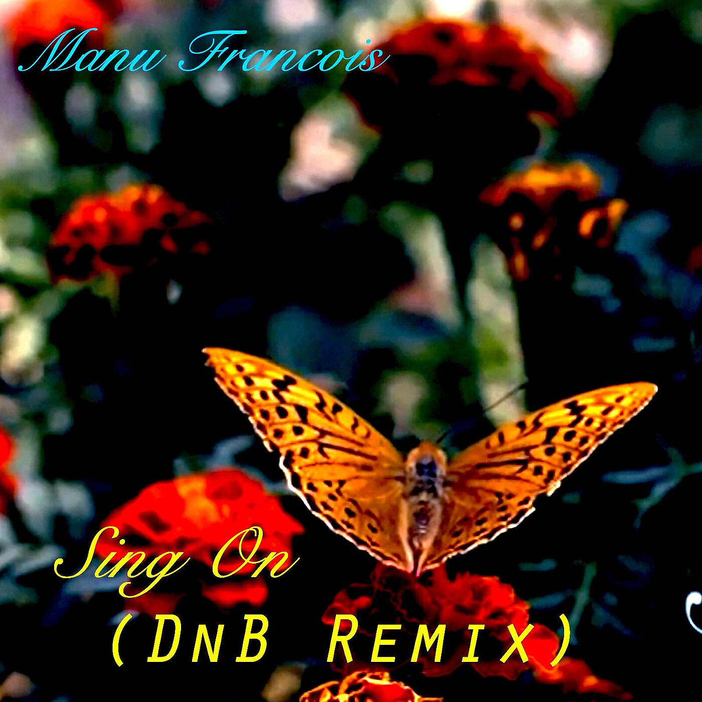 Релиз Sing on (DnB Remix)