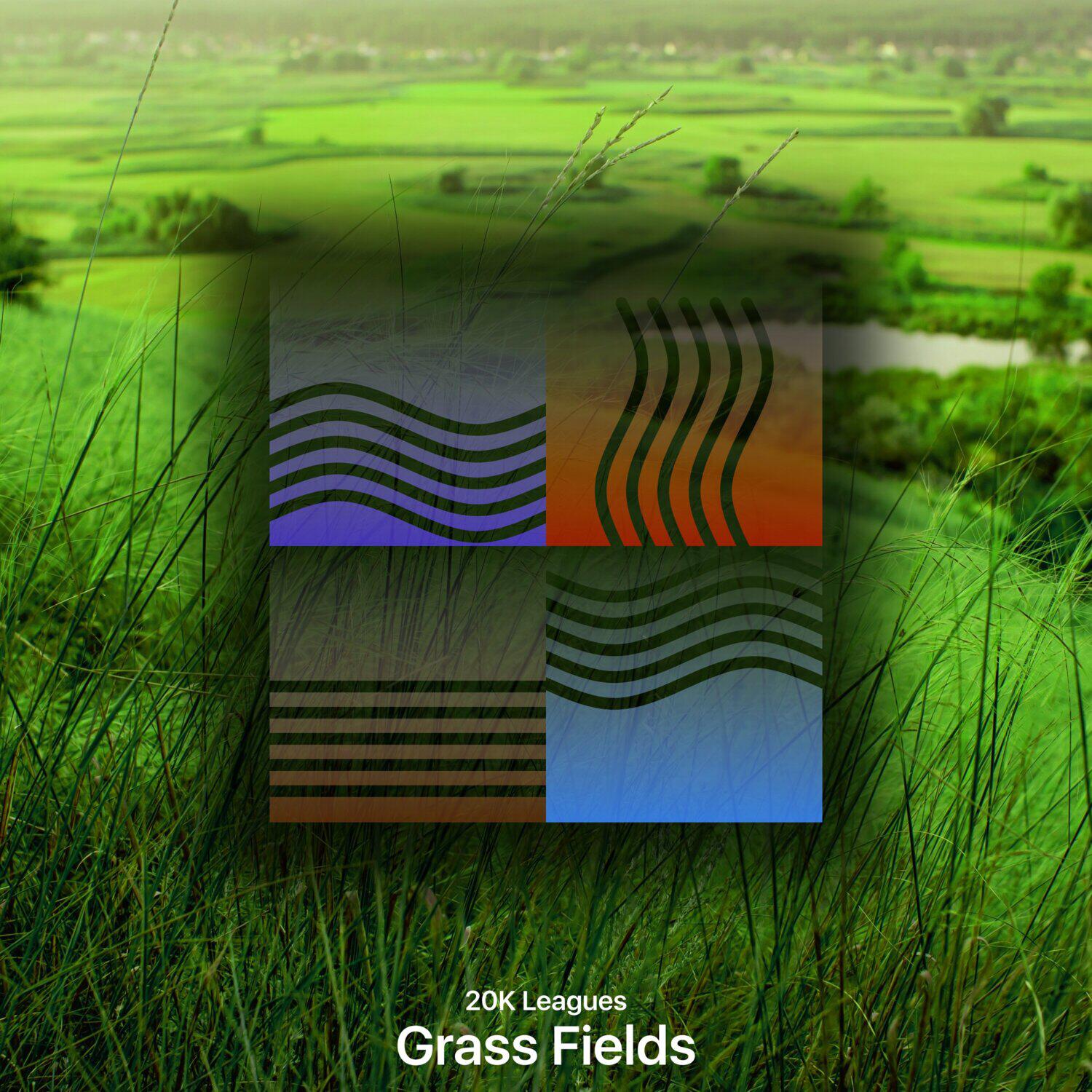 Релиз Grass Fields