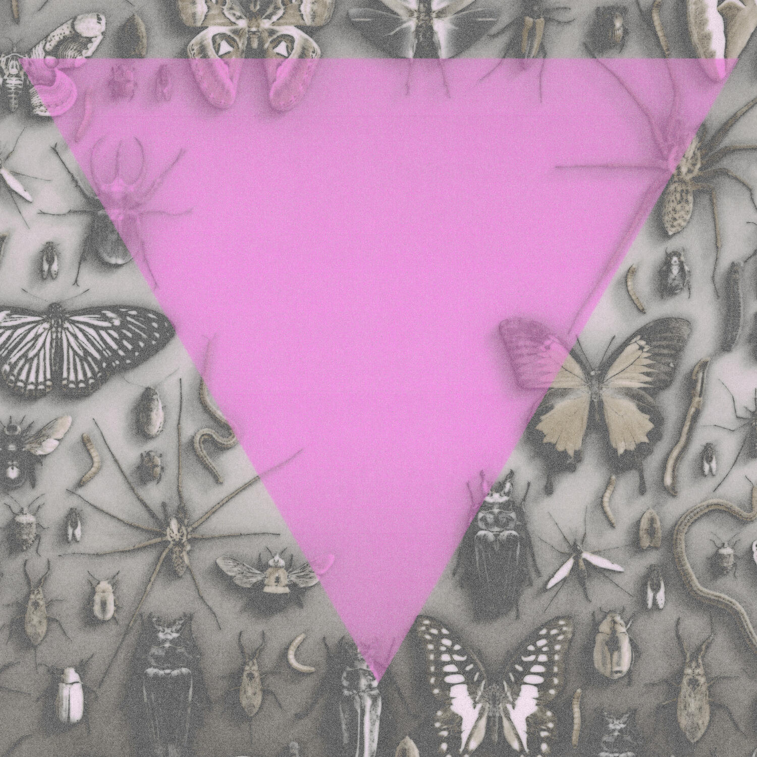 Релиз Tchotchke