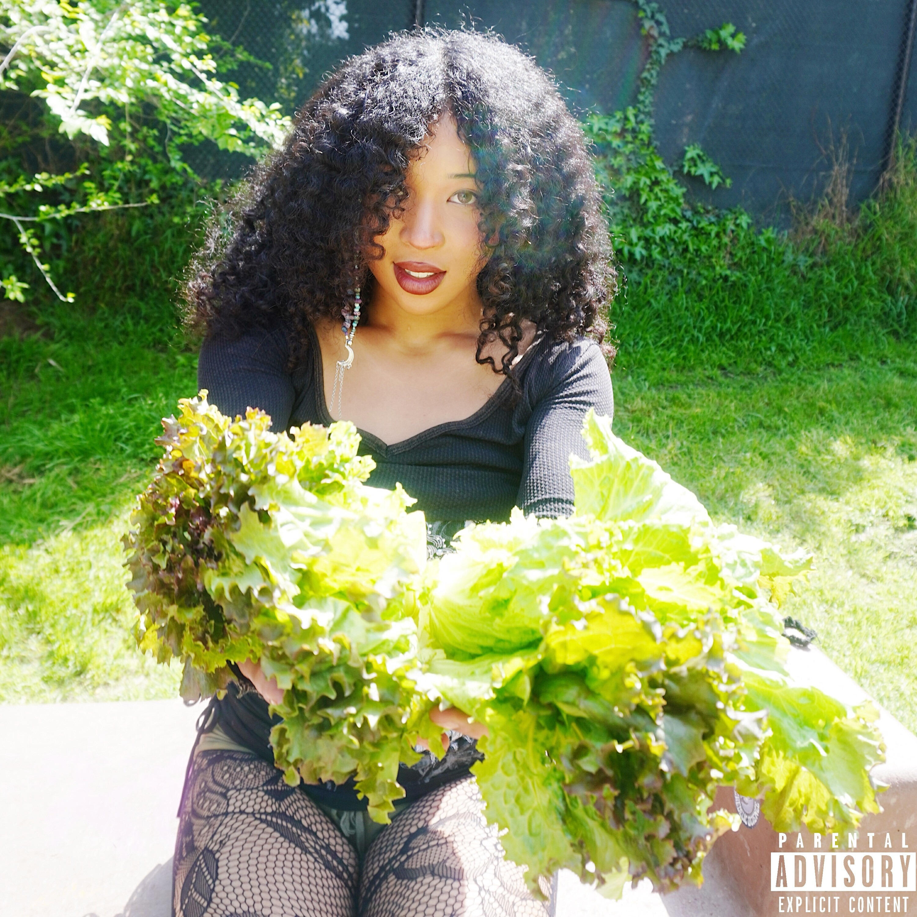 Релиз lettuce lungs