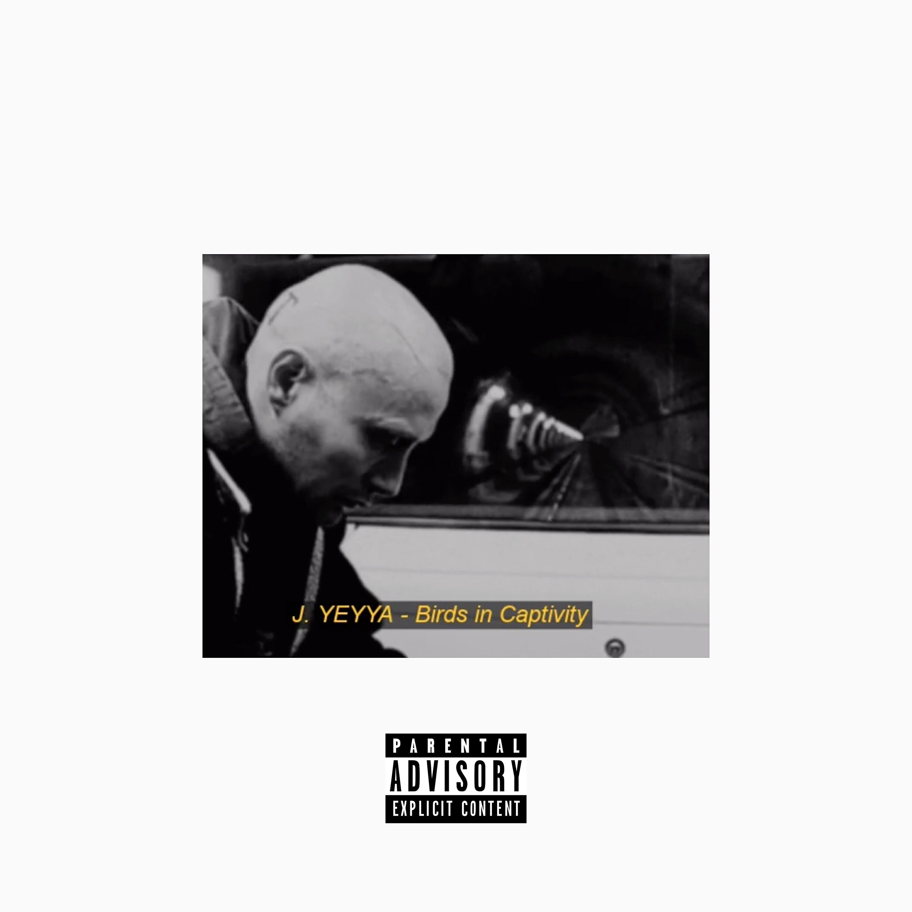 Релиз Birds in Captivity