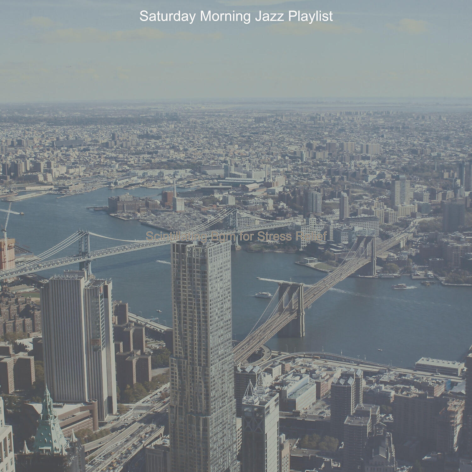 Релиз Scintillating Bgm for Stress Relief