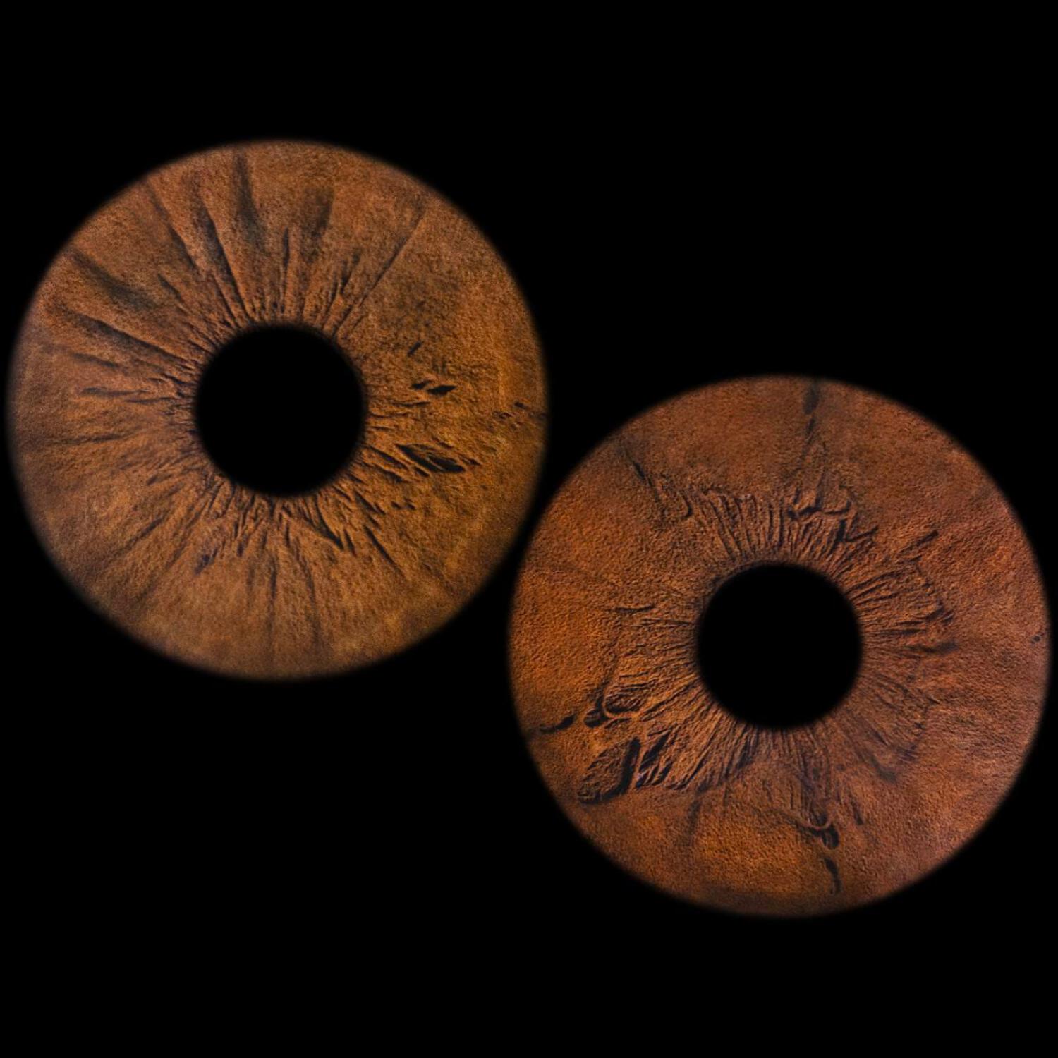 Релиз в одно мгновение