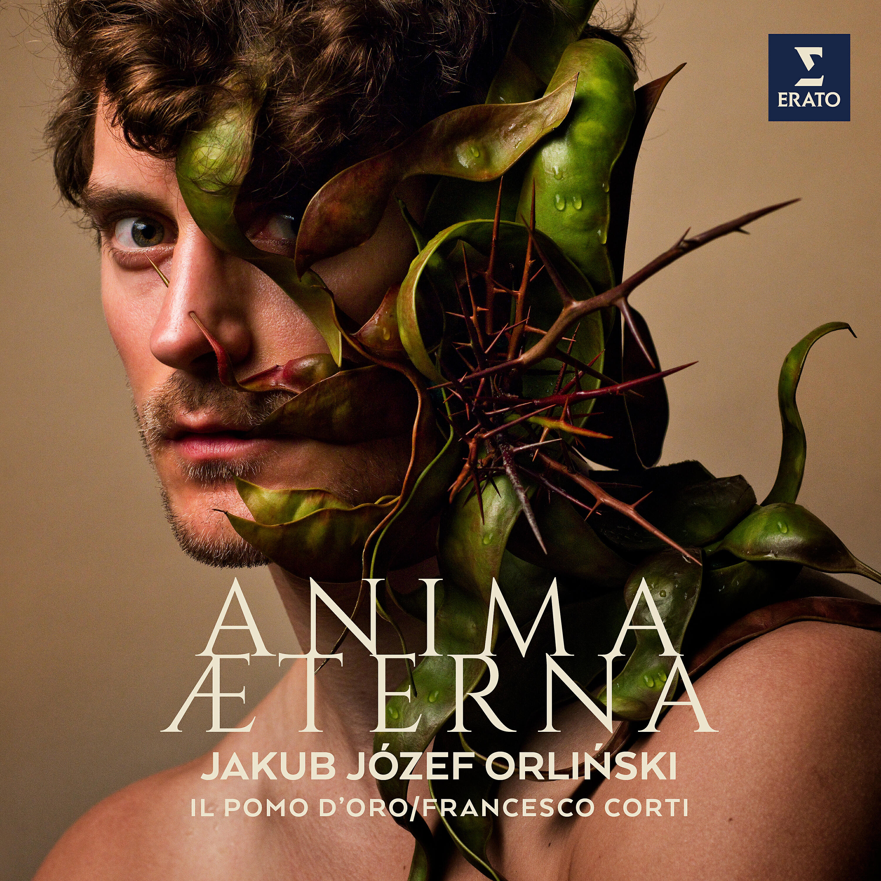 Релиз Anima Aeterna