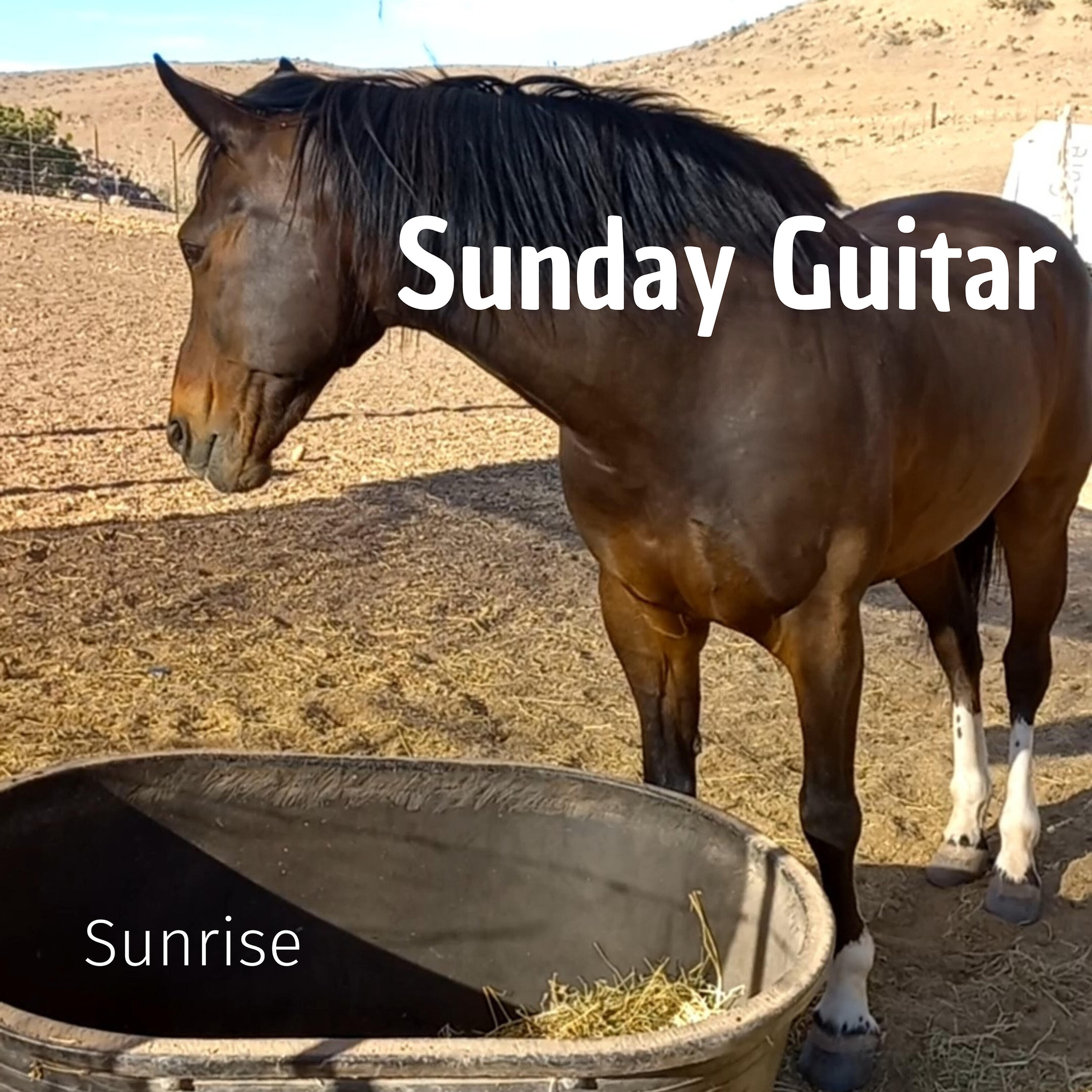 Релиз Sunrise