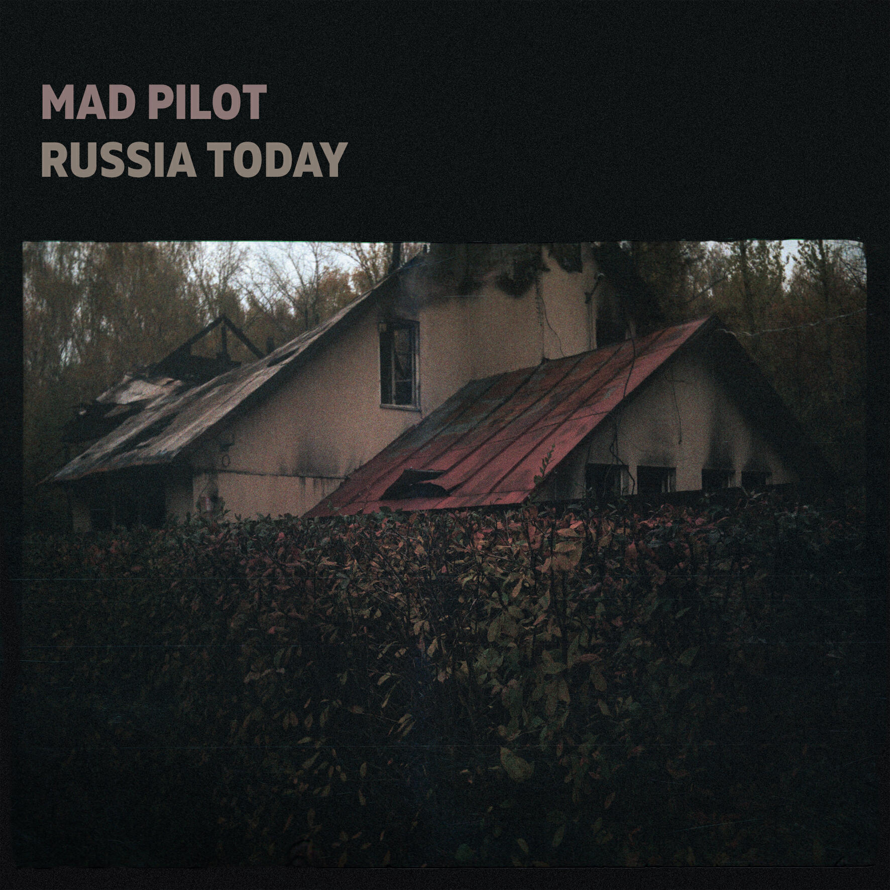 Релиз Russia Today