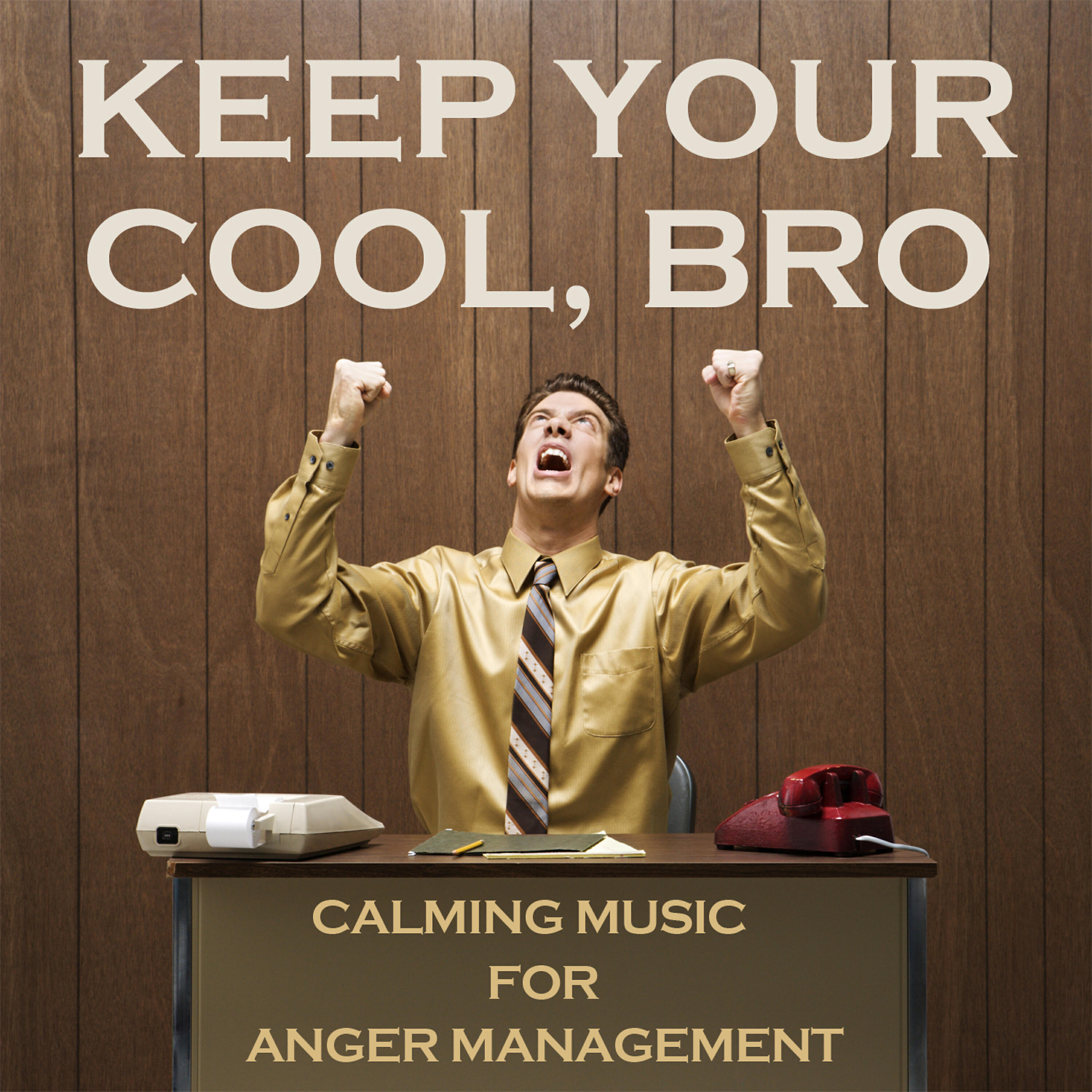 Релиз Keep Your Cool, Bro: Over 6 Hours of Calming Music for Anger Management